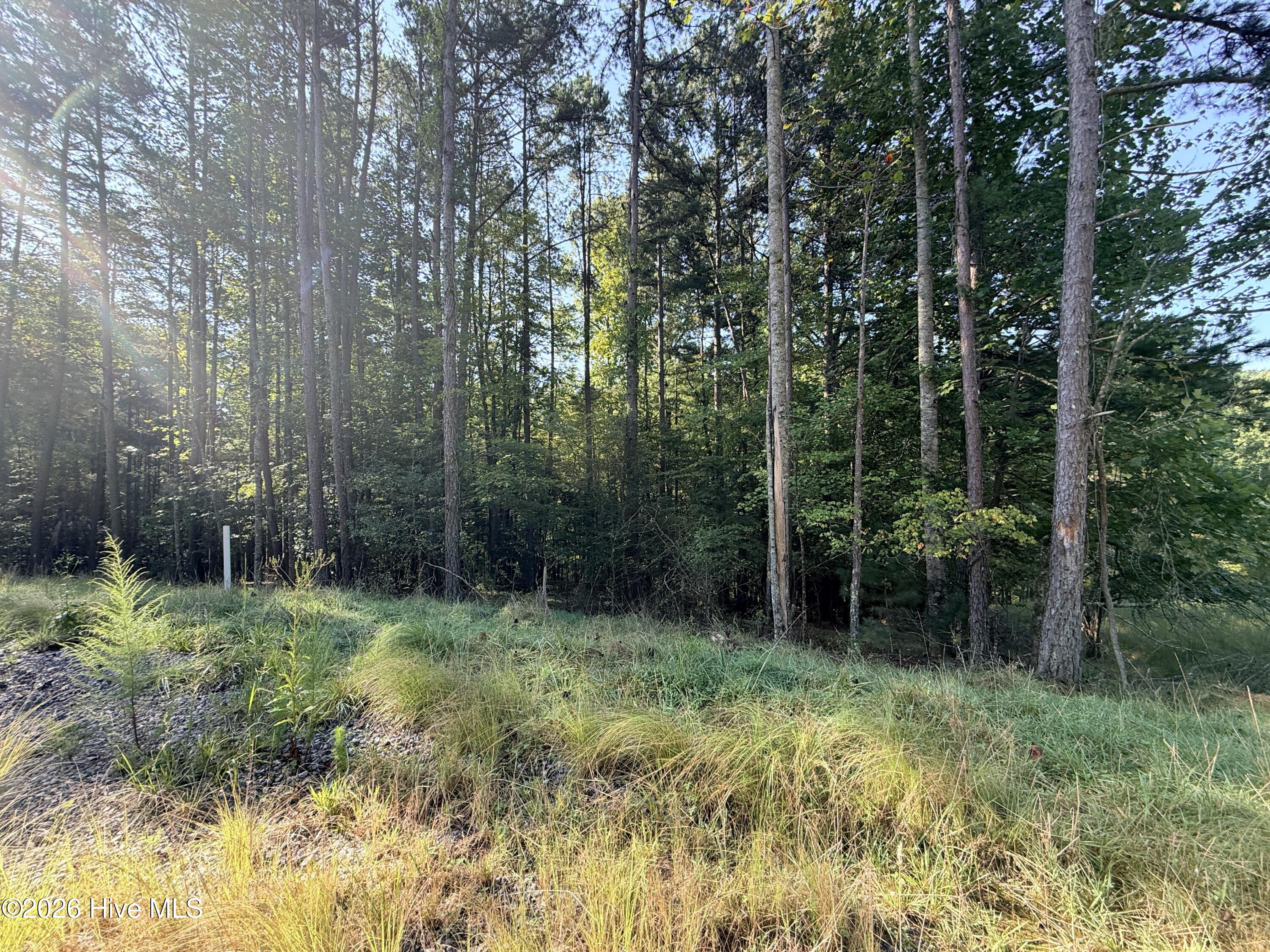 6260 Martins Creek Road Property Photo 8