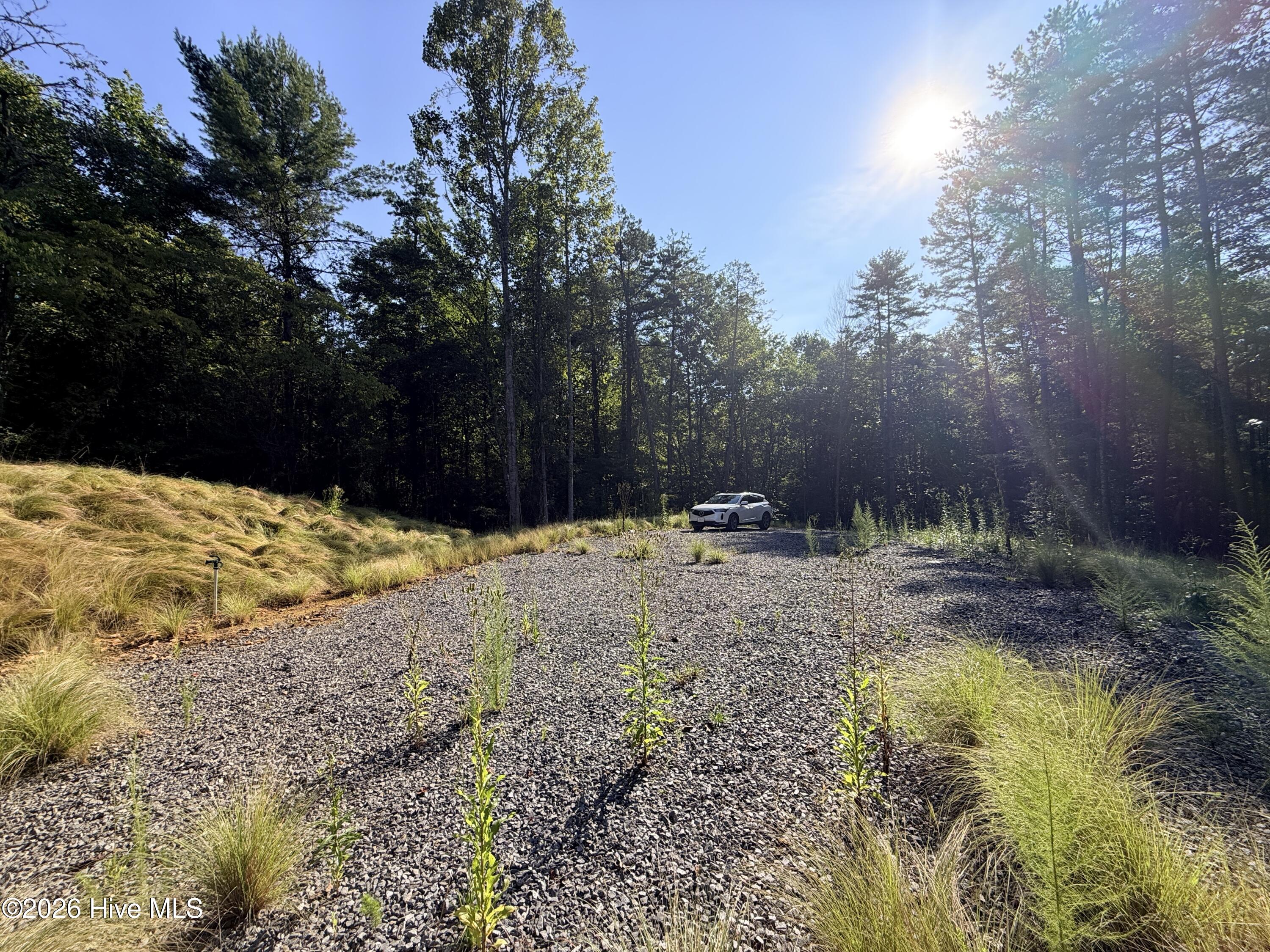 6260 Martins Creek Road Property Photo 9