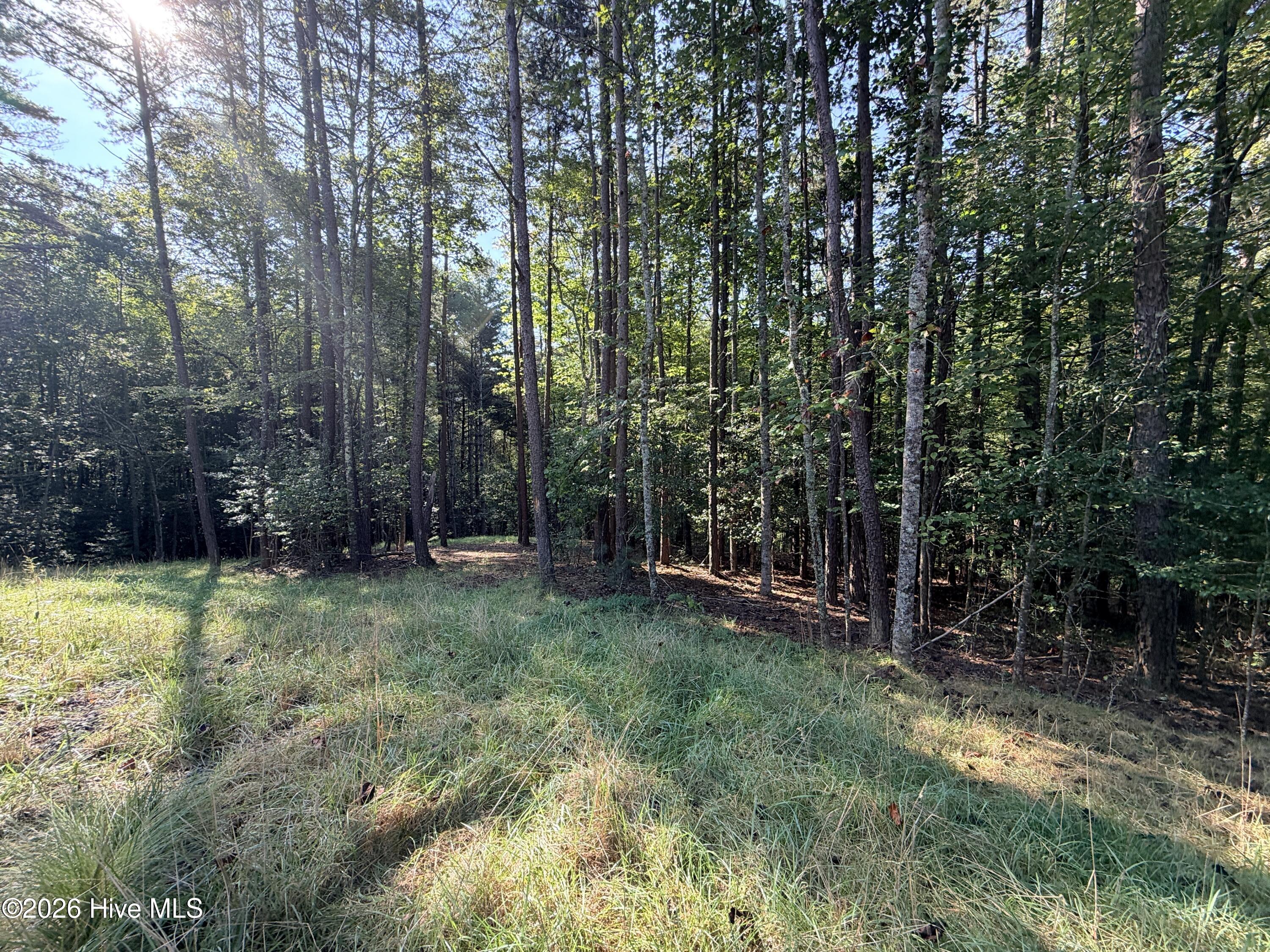 6260 Martins Creek Road Property Photo 10