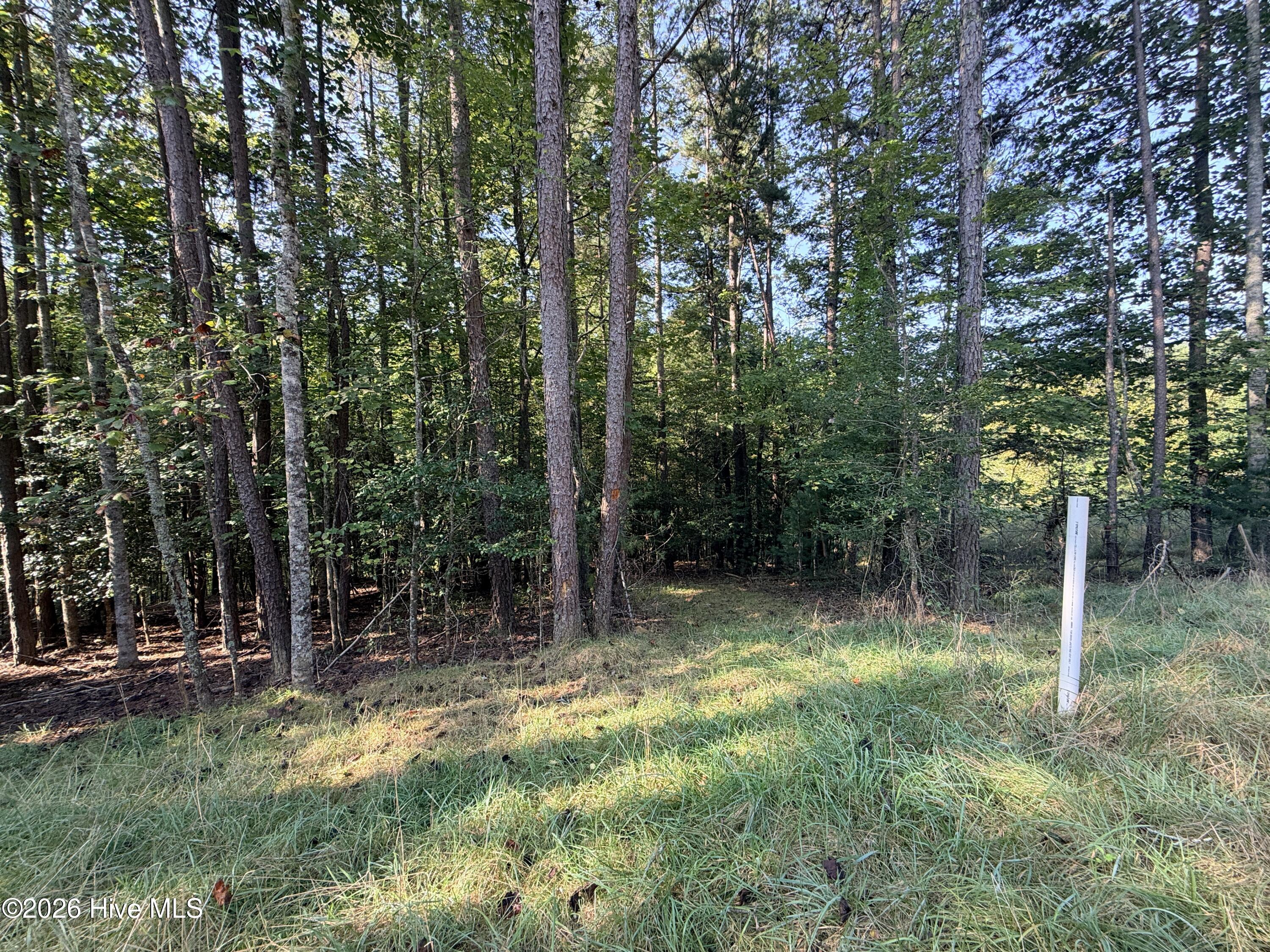 6260 Martins Creek Road Property Photo 11