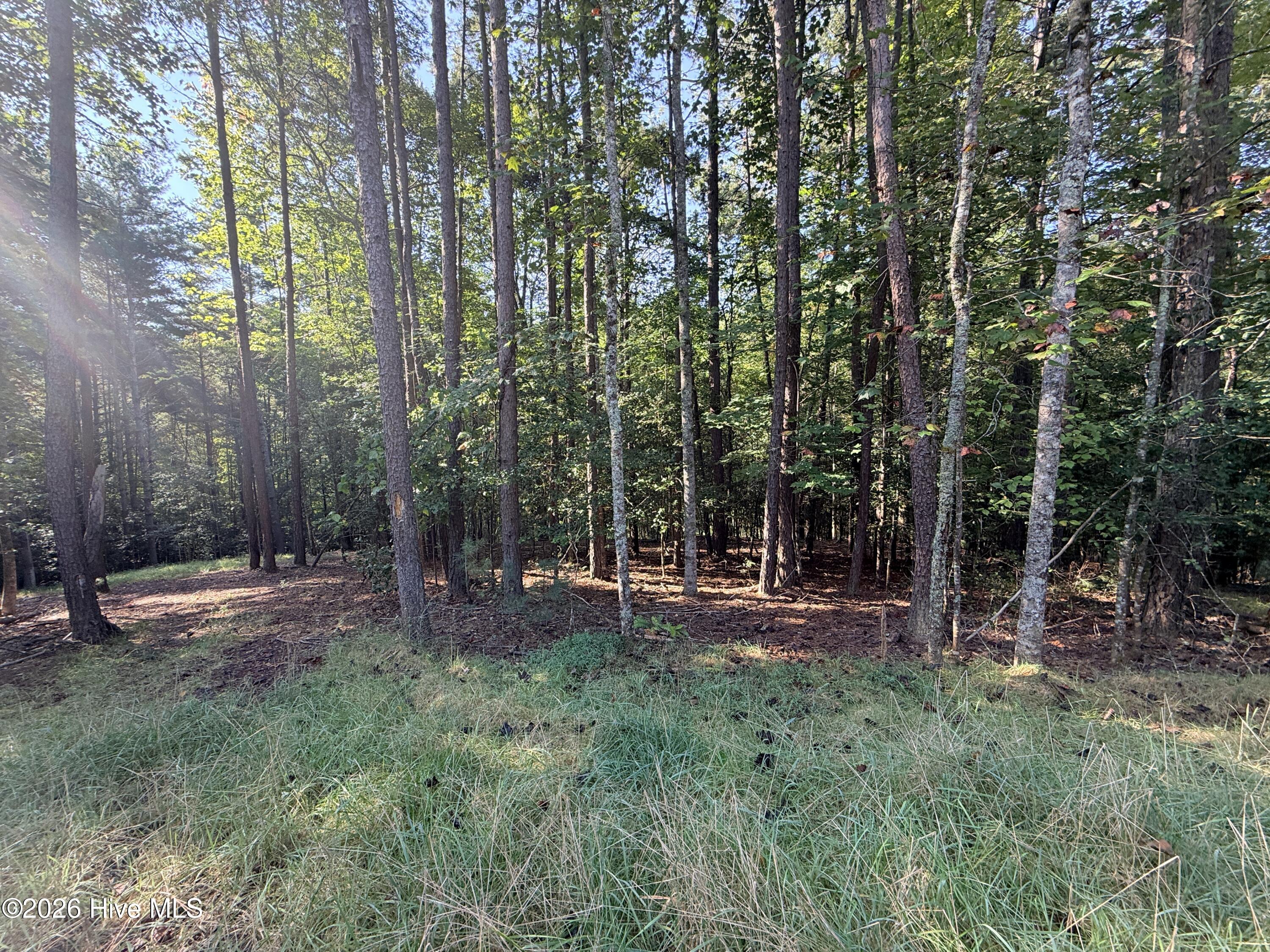 6260 Martins Creek Road Property Photo 12