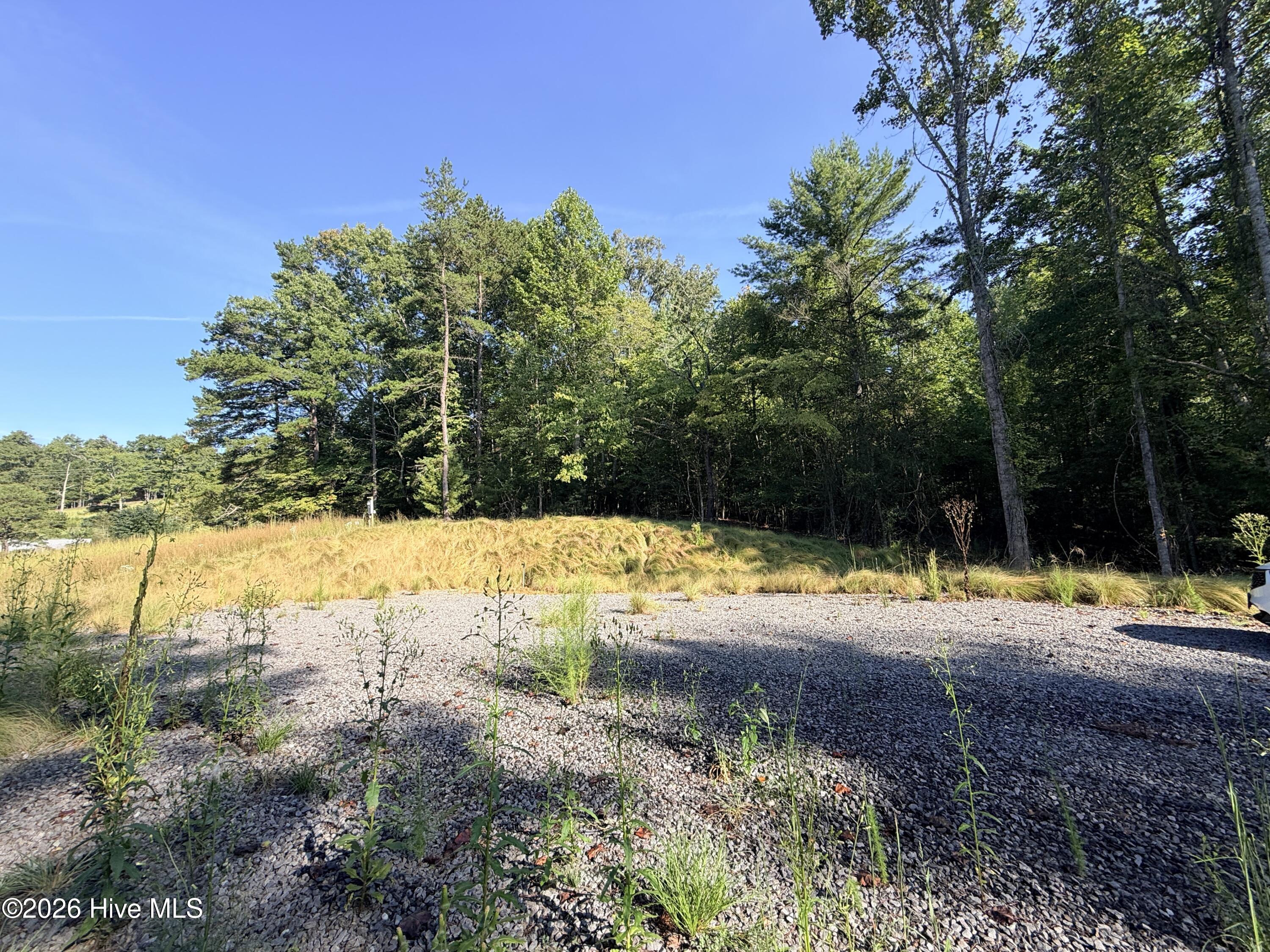 6260 Martins Creek Road Property Photo 13