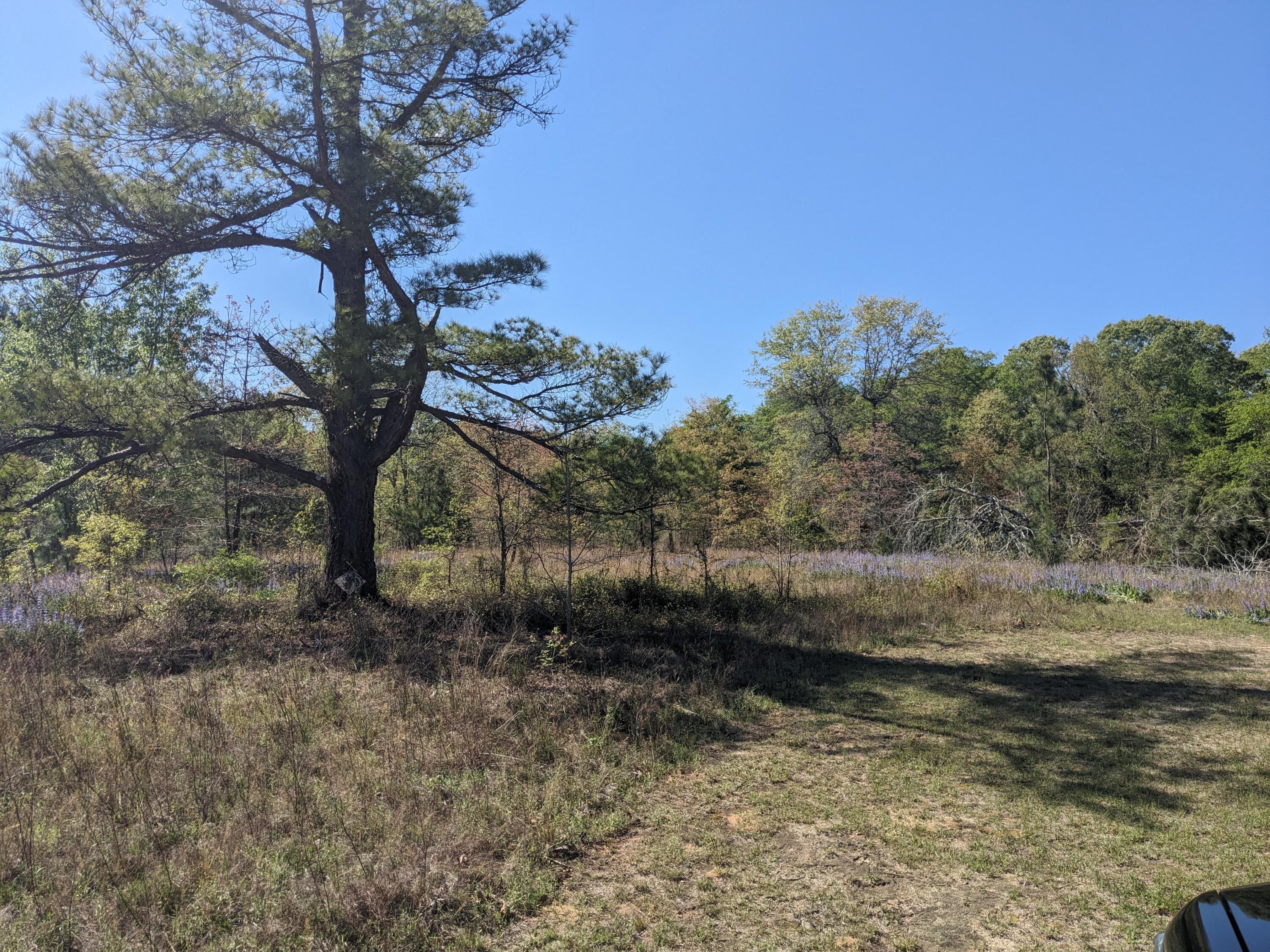 4781 Deans Bridge Road Property Photo 1