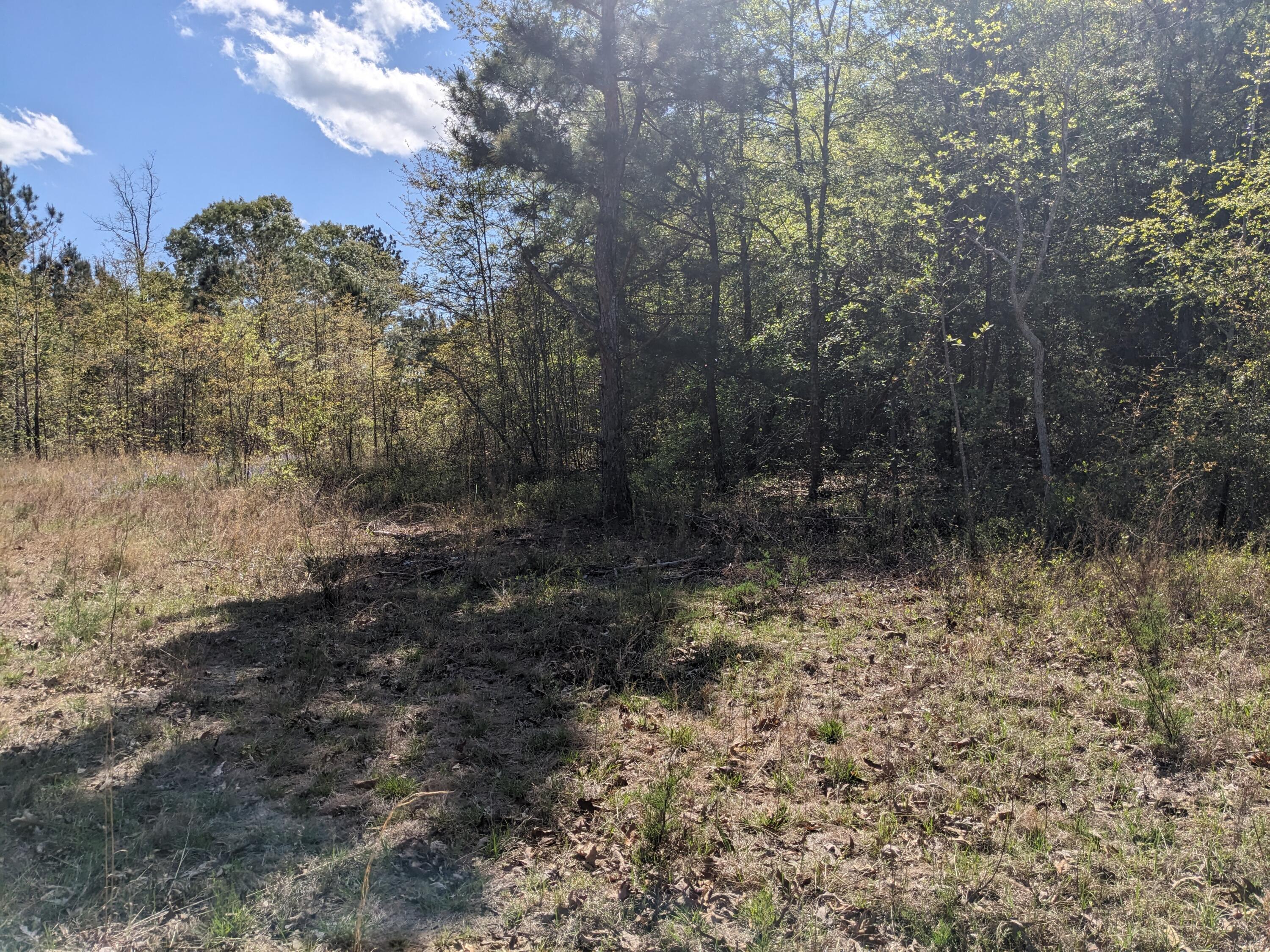 4781 Deans Bridge Road Property Photo 5