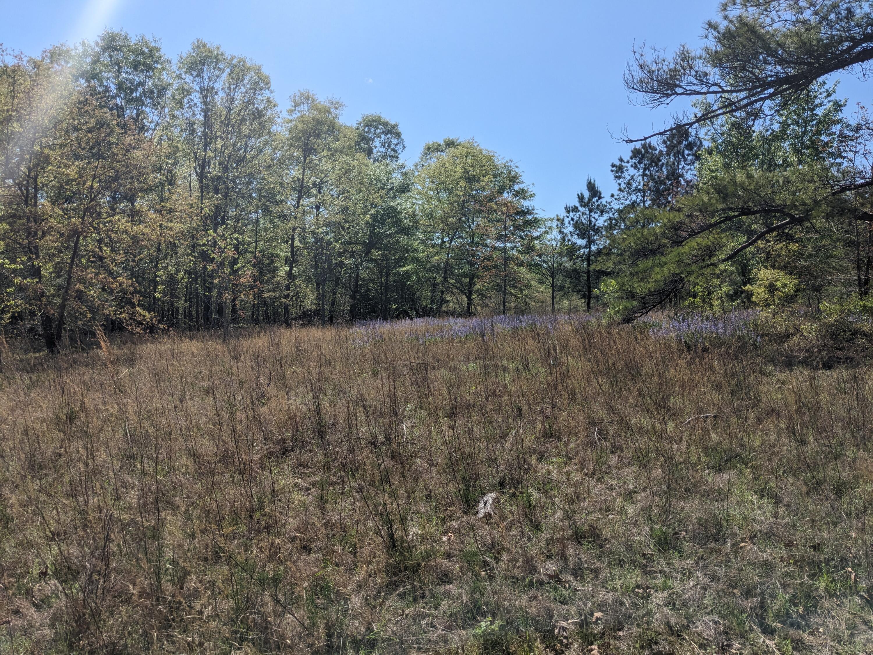 4781 Deans Bridge Road Property Photo 6
