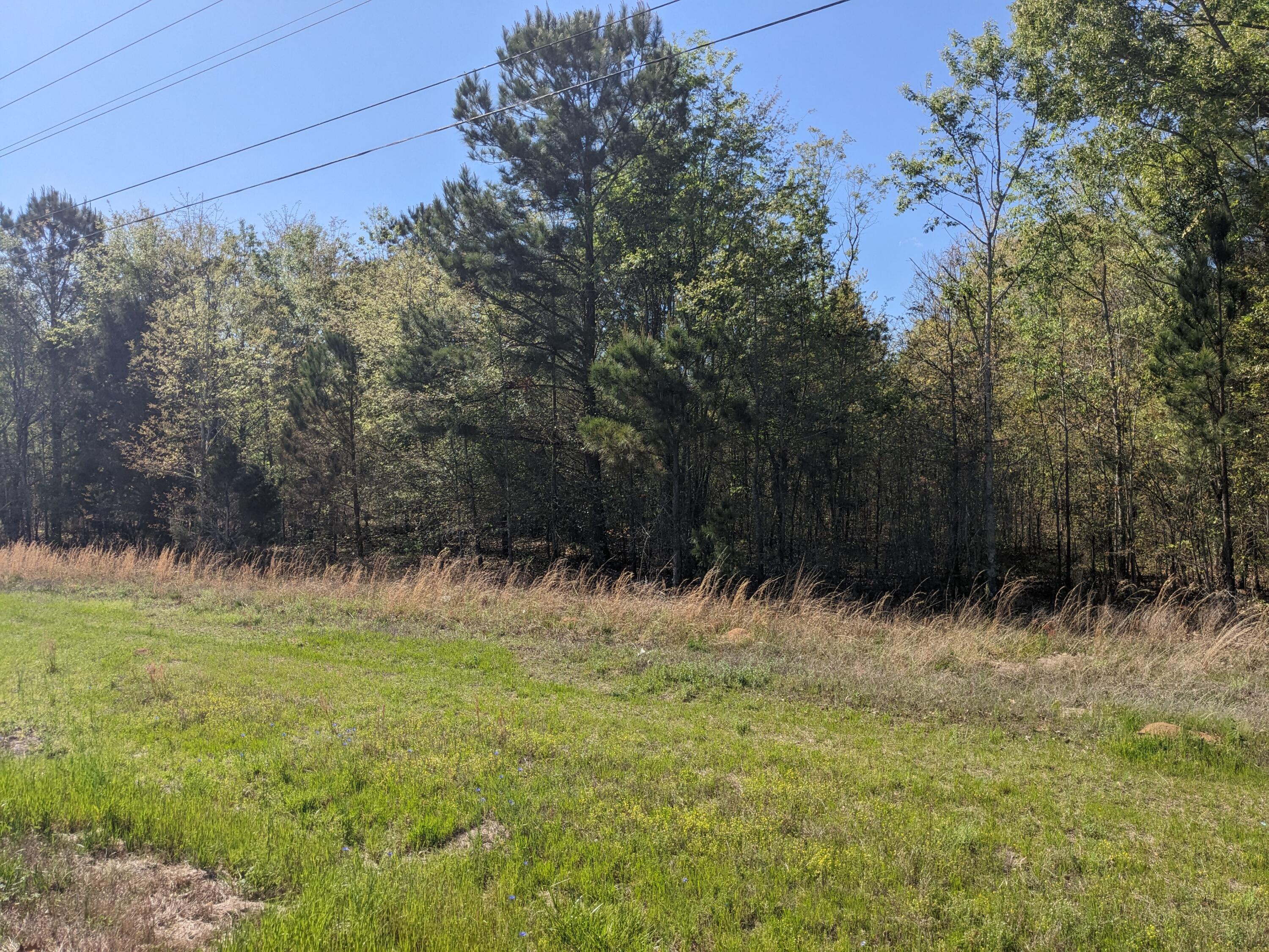 4781 Deans Bridge Road Property Photo 8