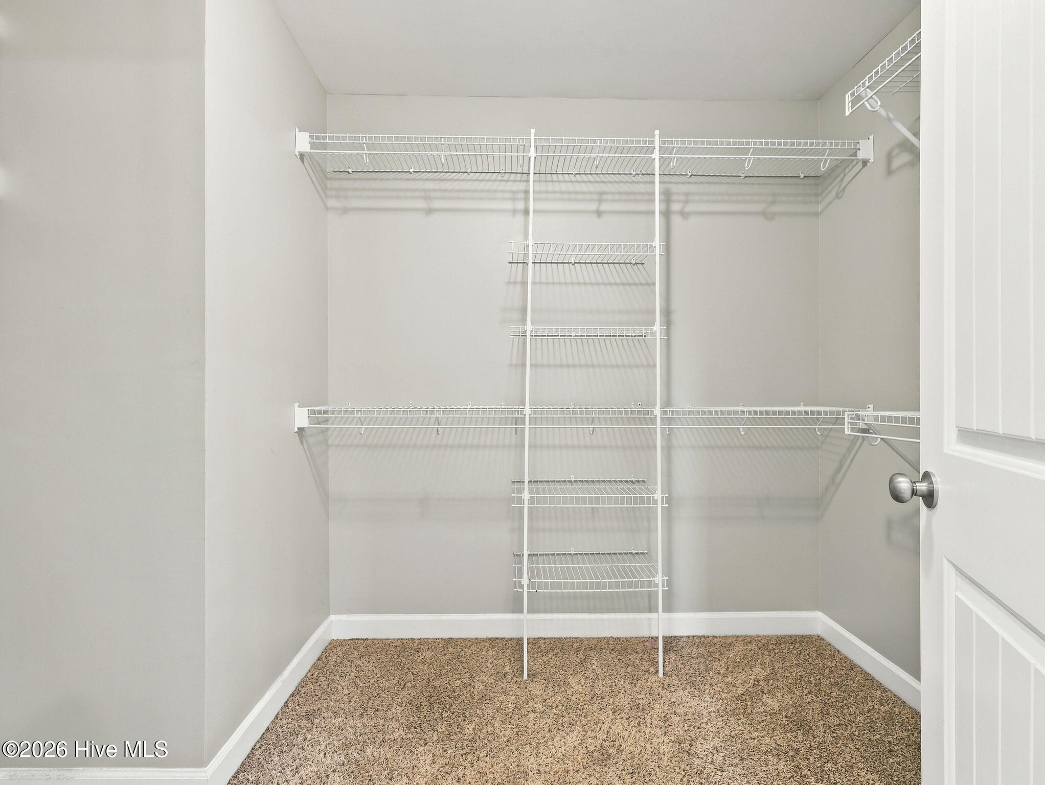 203 Chestwood Drive Property Photo 28