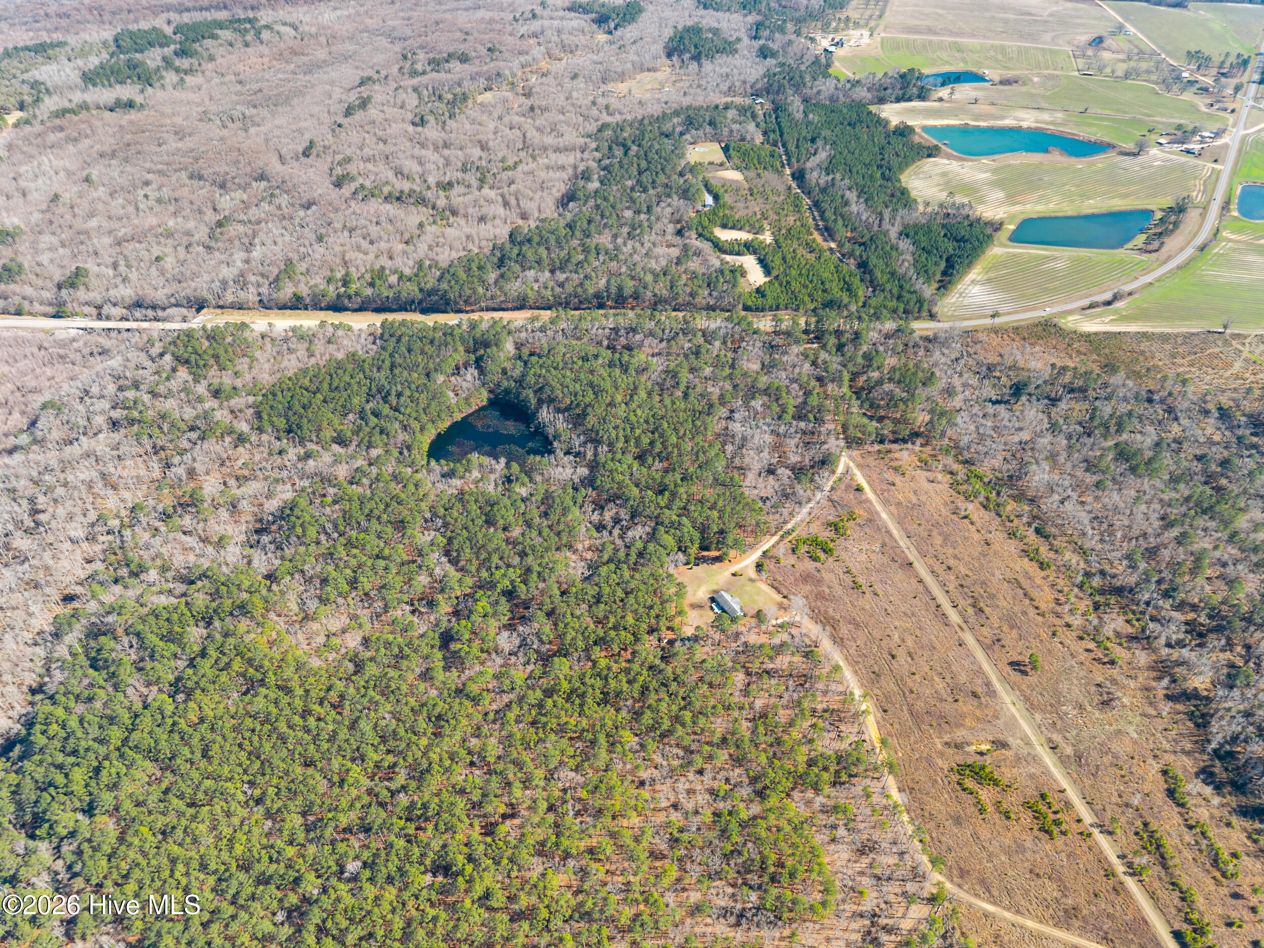 22701 Highway 129 Property Photo 4