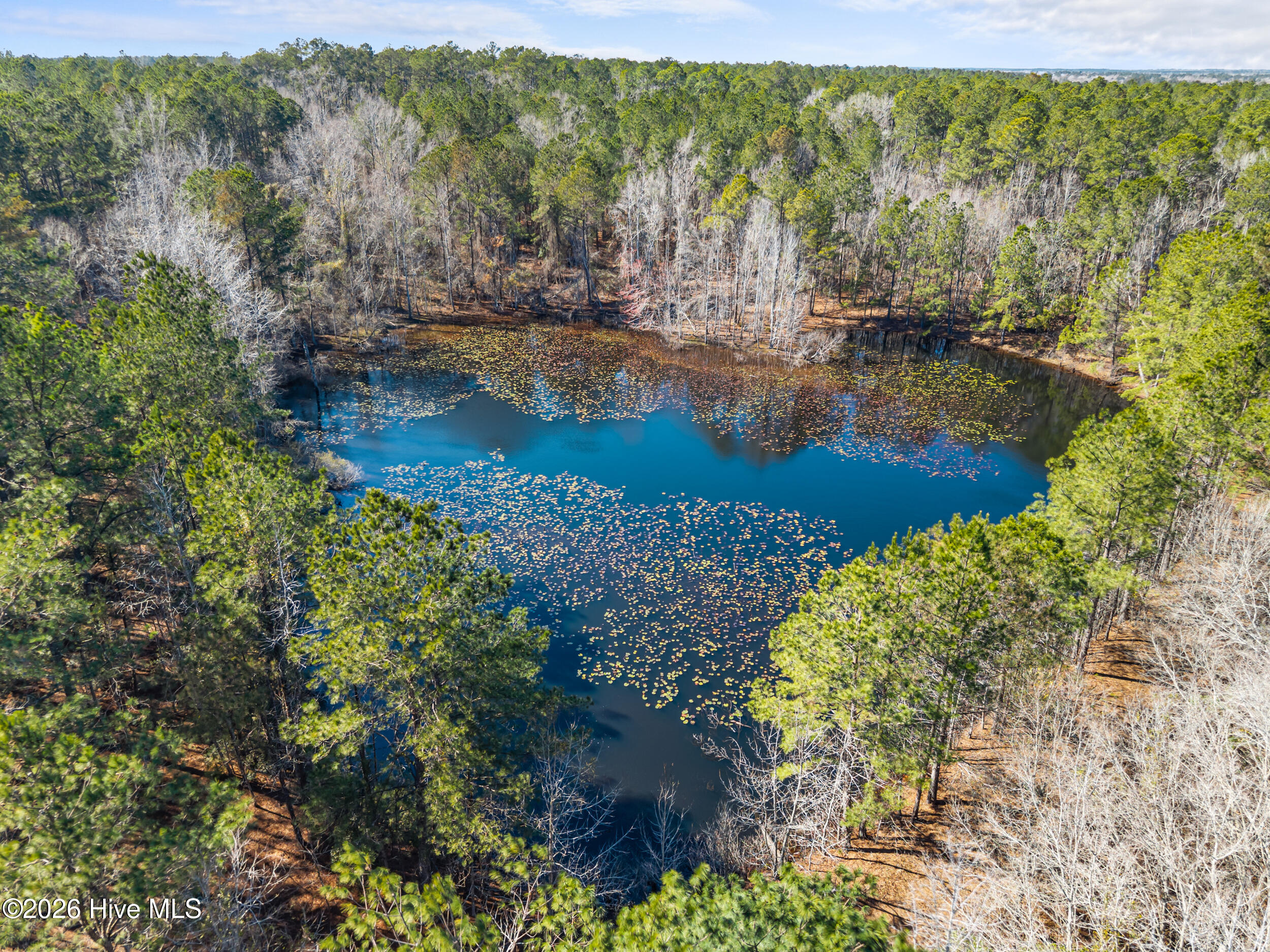 22701 Highway 129 Property Photo 6