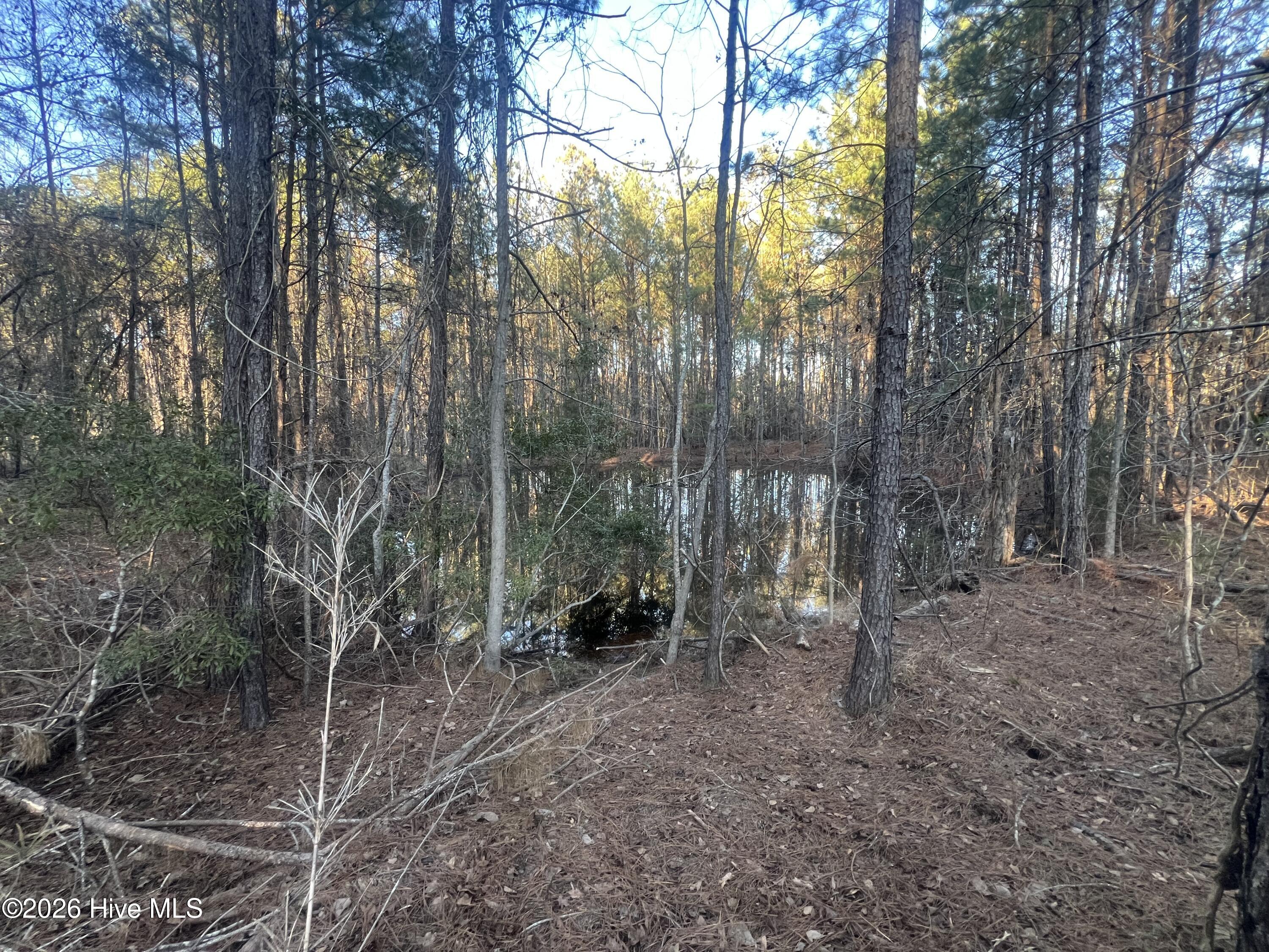 22701 Highway 129 Property Photo 8