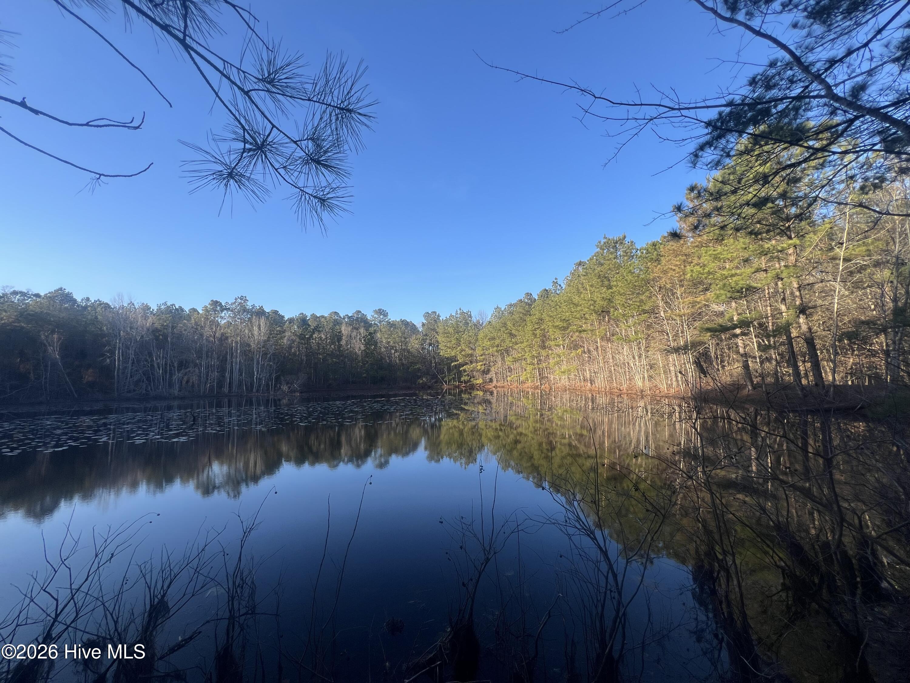 22701 Highway 129 Property Photo 10