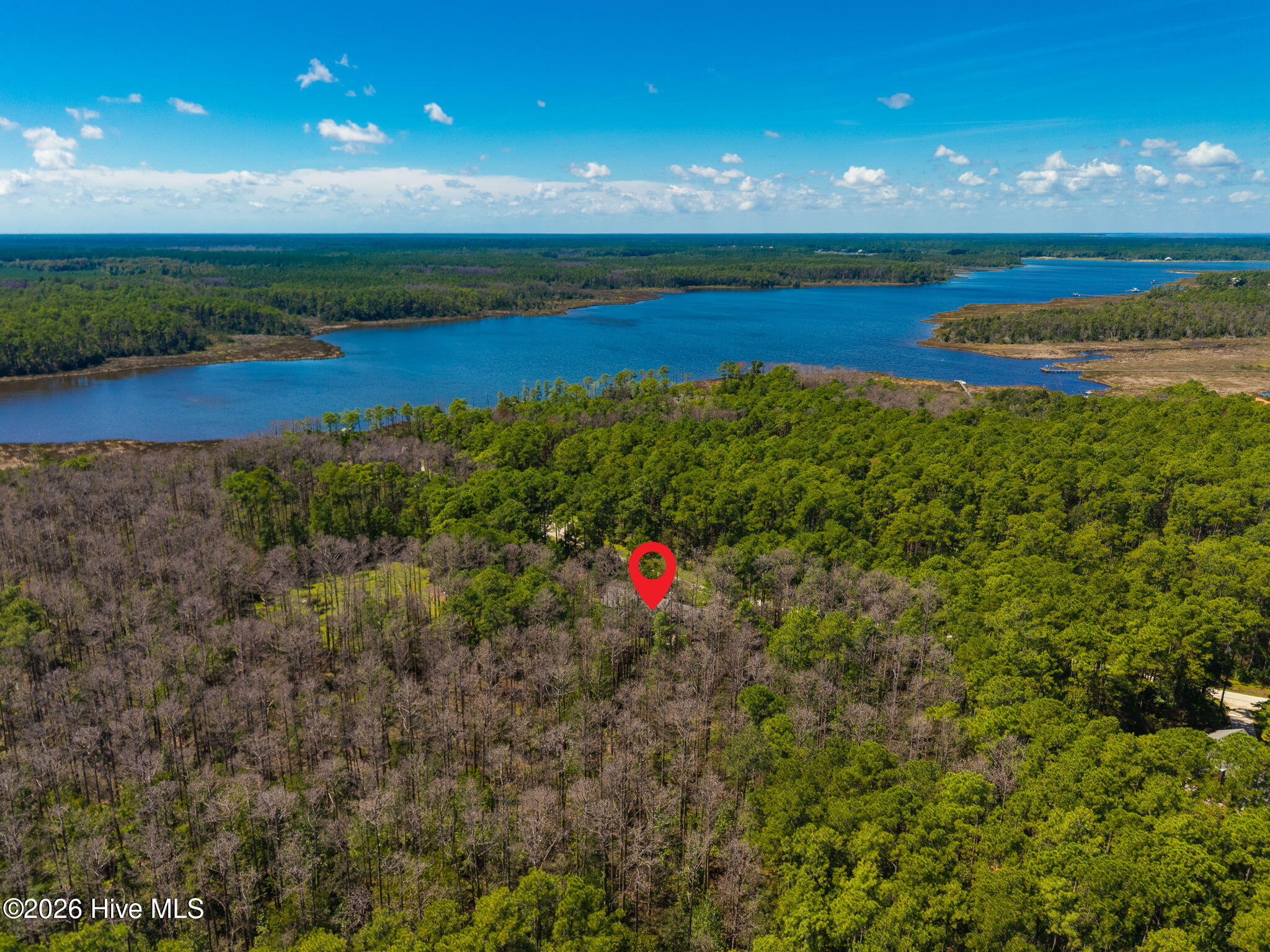 157 Jones Gut Drive Property Photo 6