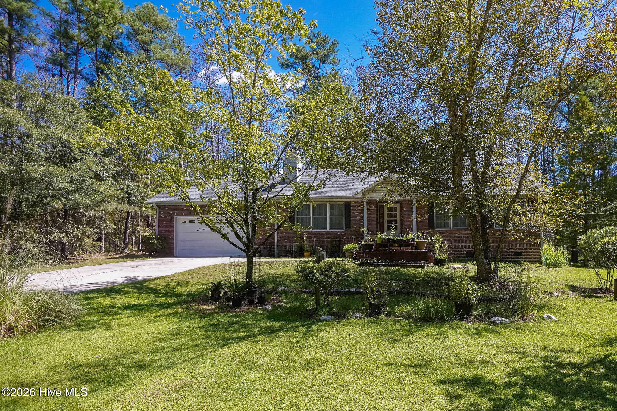 157 Jones Gut Drive Property Photo 7