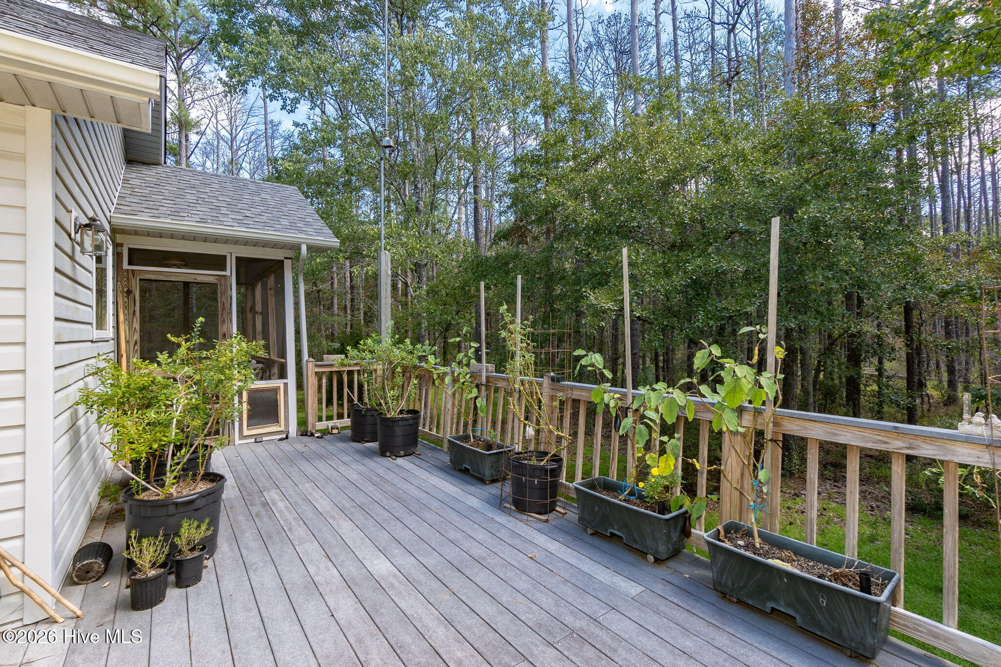 157 Jones Gut Drive Property Photo 31
