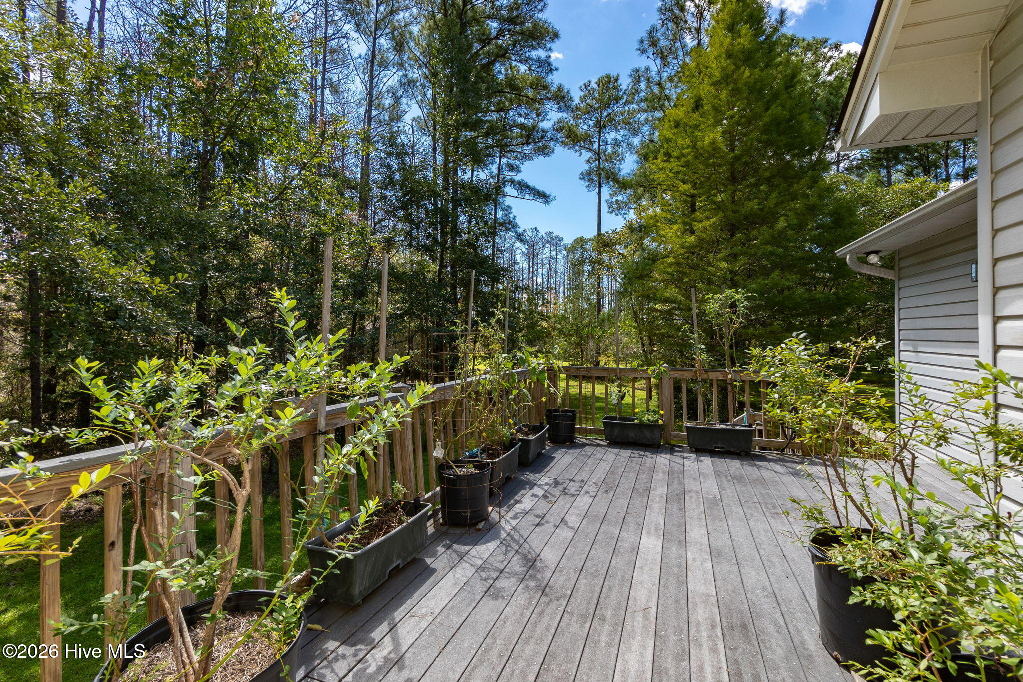 157 Jones Gut Drive Property Photo 32