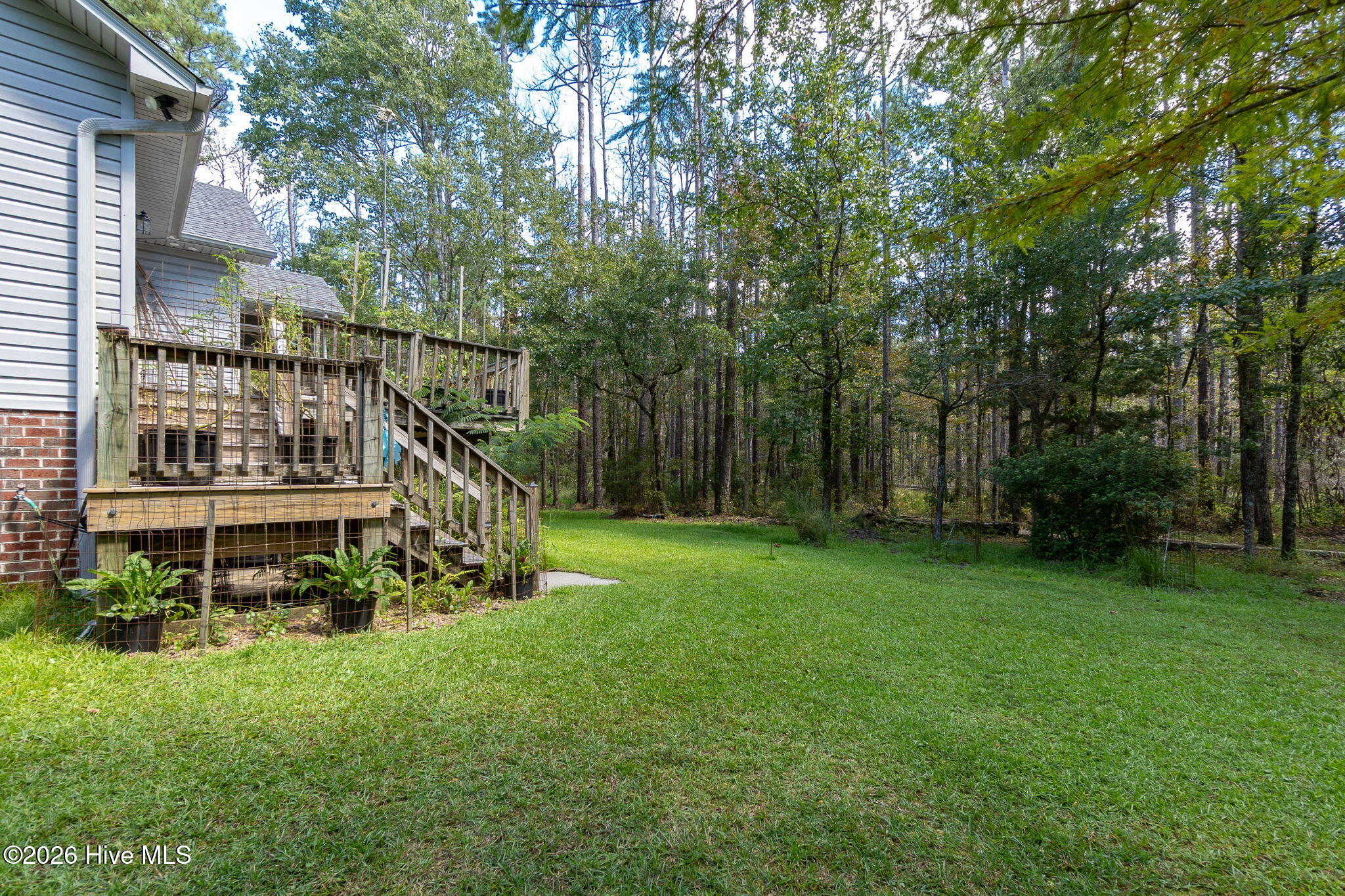 157 Jones Gut Drive Property Photo 35