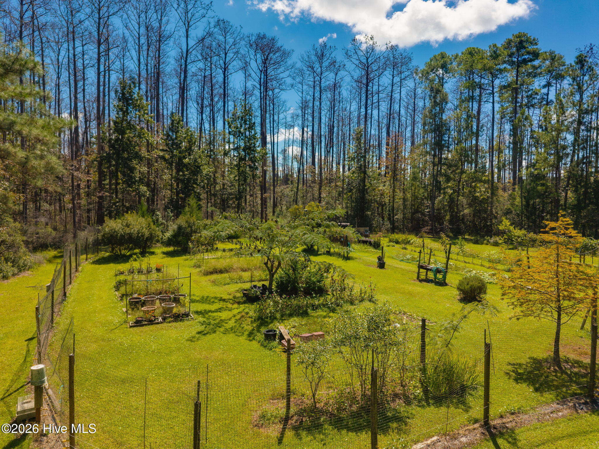 157 Jones Gut Drive Property Photo 36