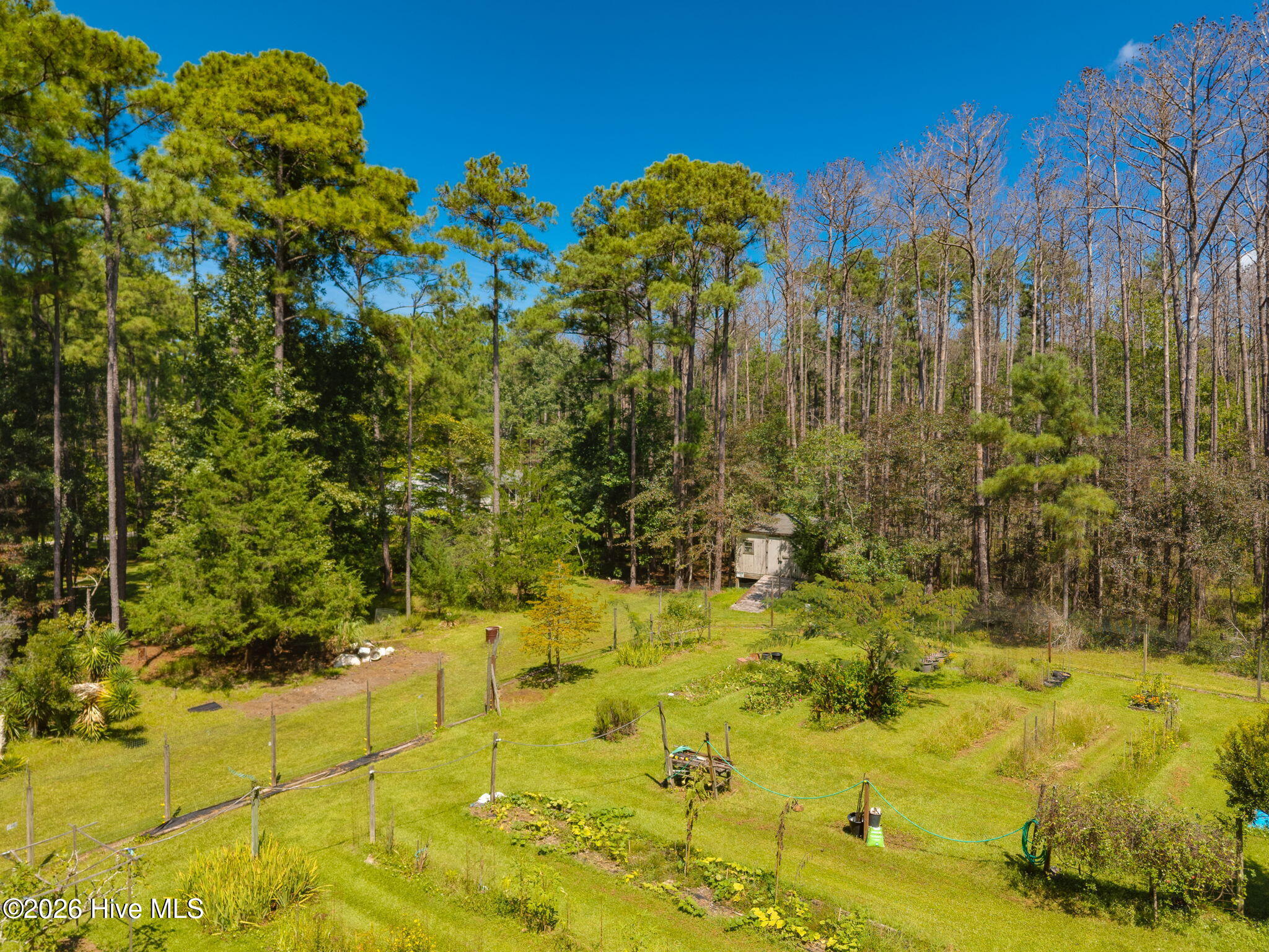 157 Jones Gut Drive Property Photo 38