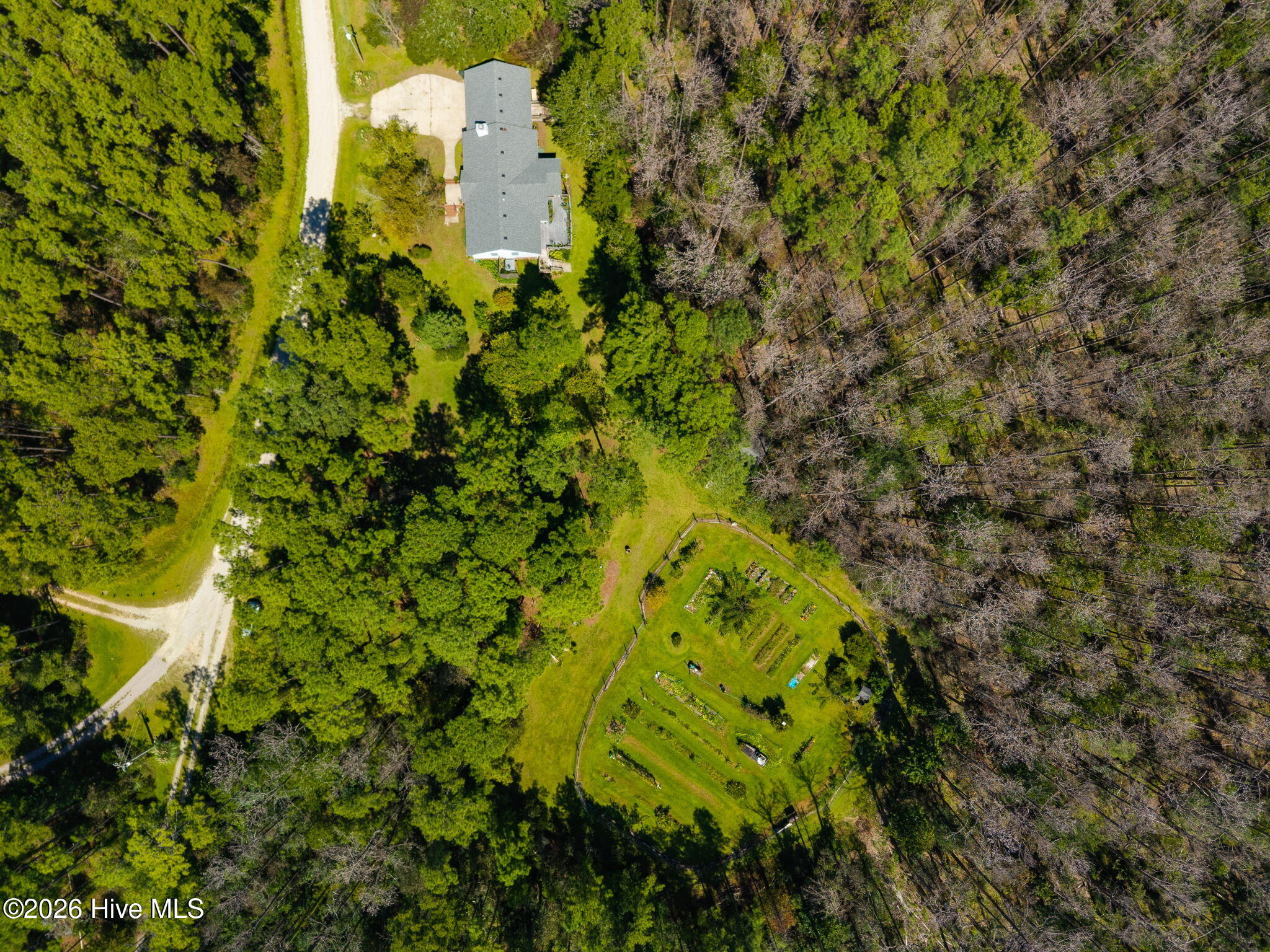 157 Jones Gut Drive Property Photo 39