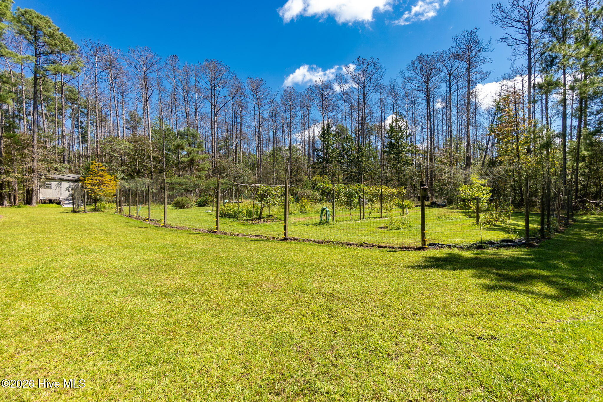 157 Jones Gut Drive Property Photo 40