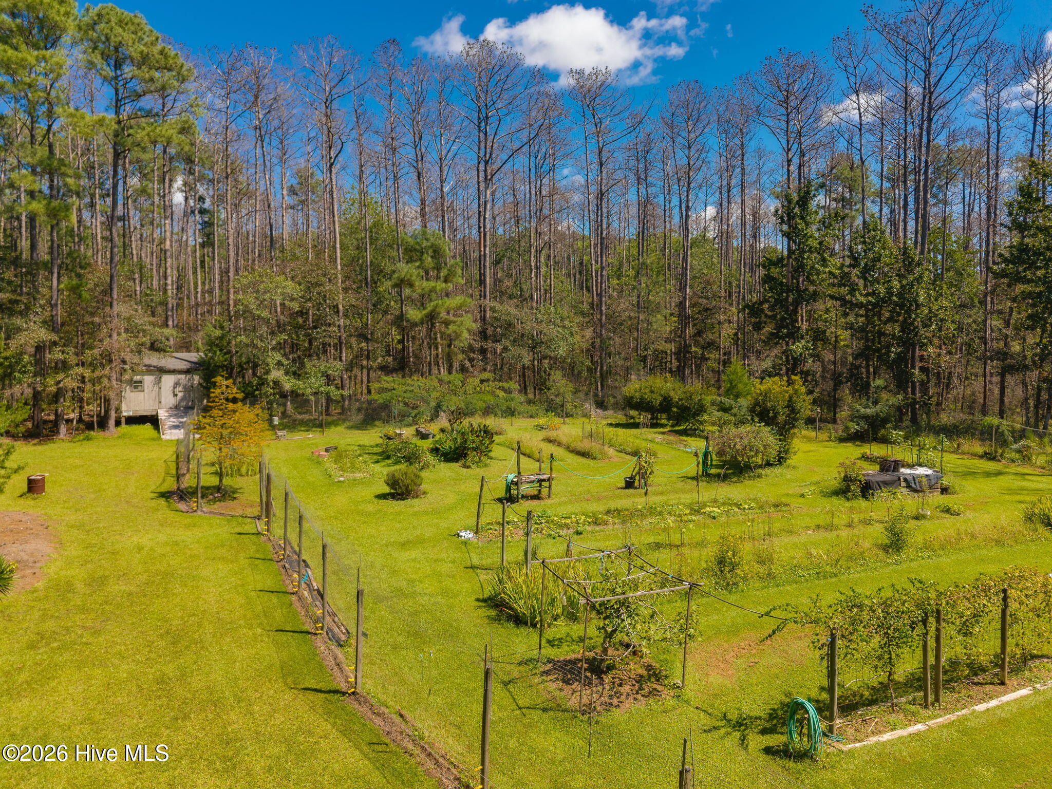157 Jones Gut Drive Property Photo 41