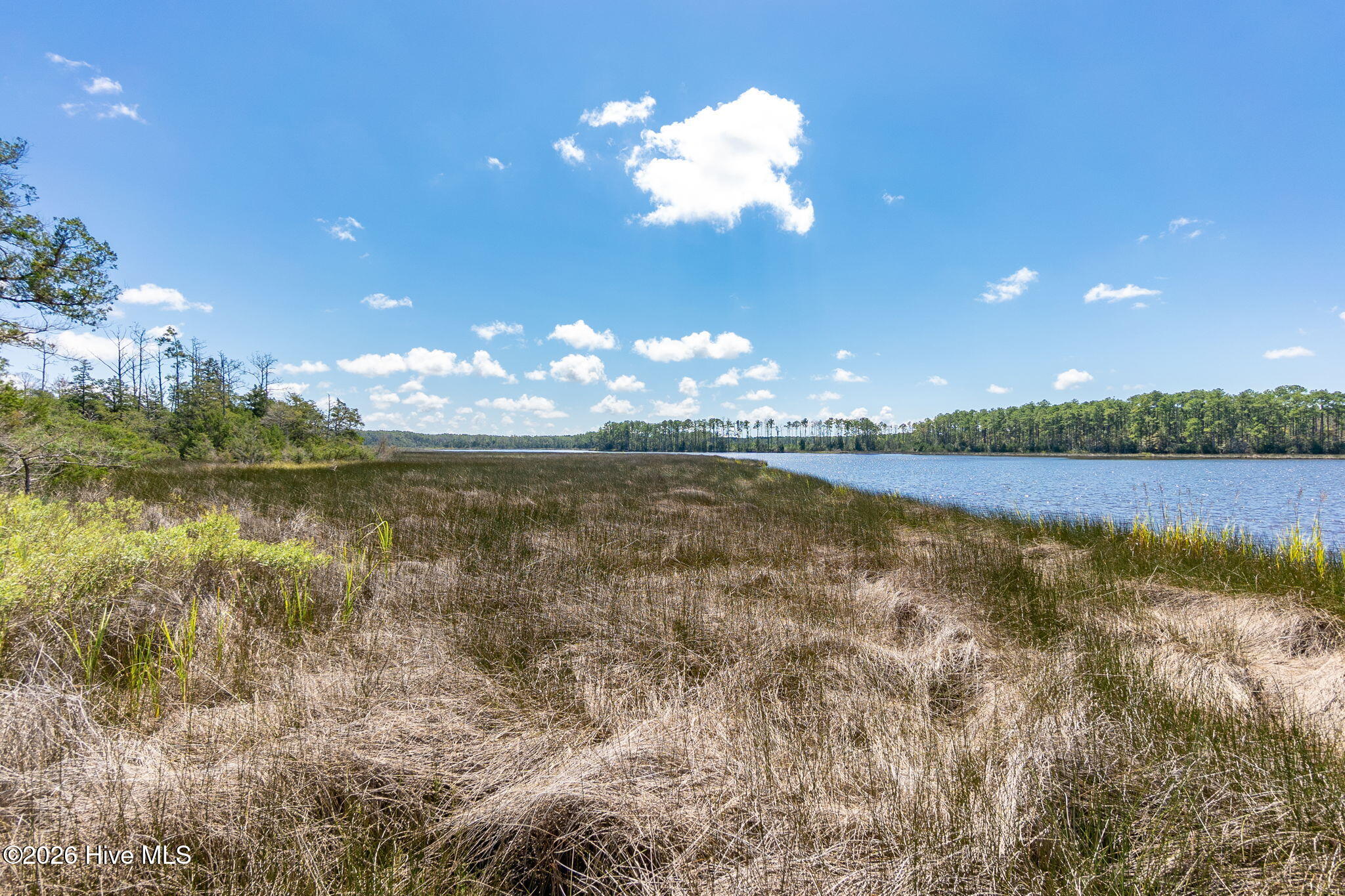 157 Jones Gut Drive Property Photo 44