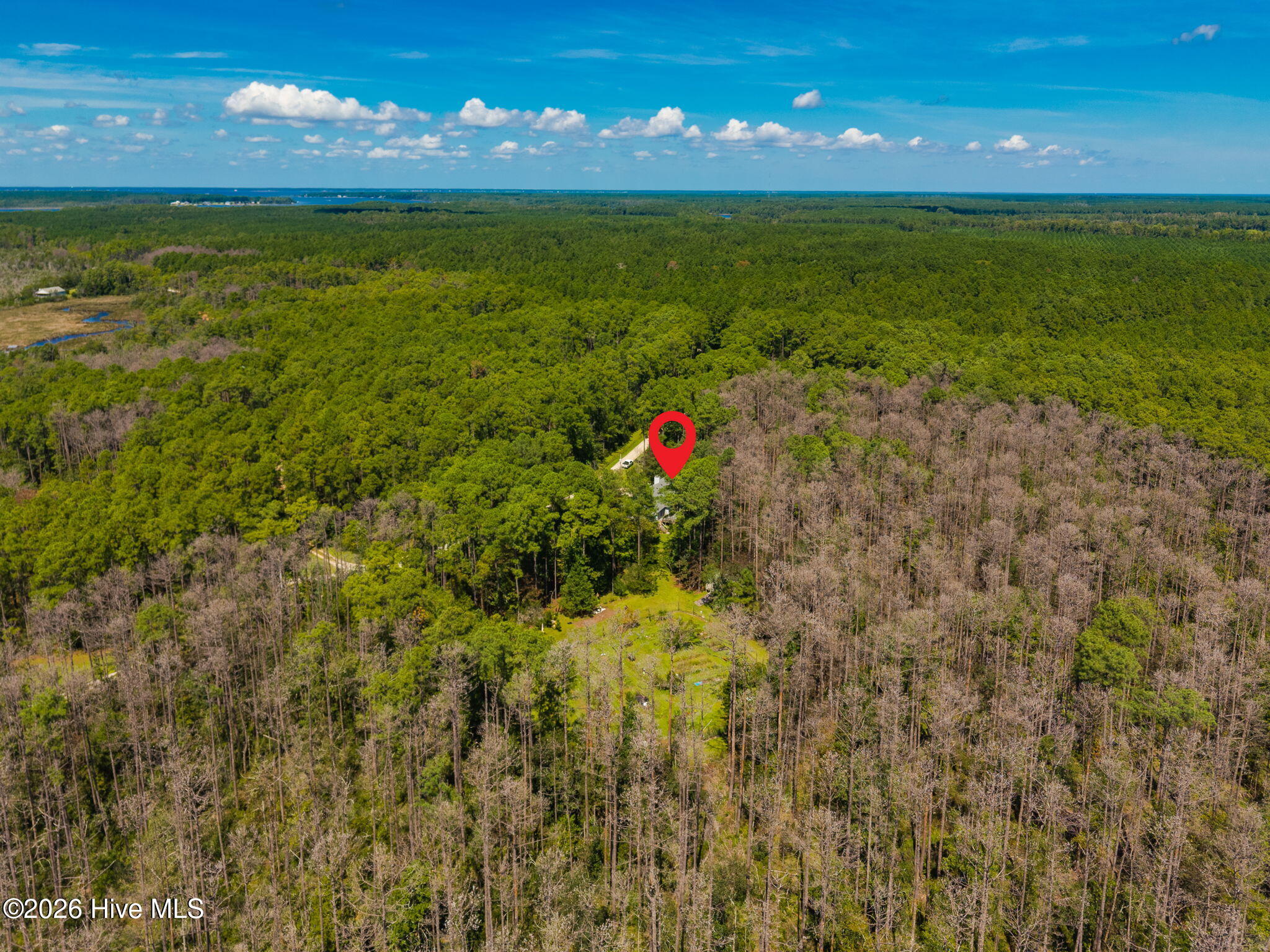157 Jones Gut Drive Property Photo 48