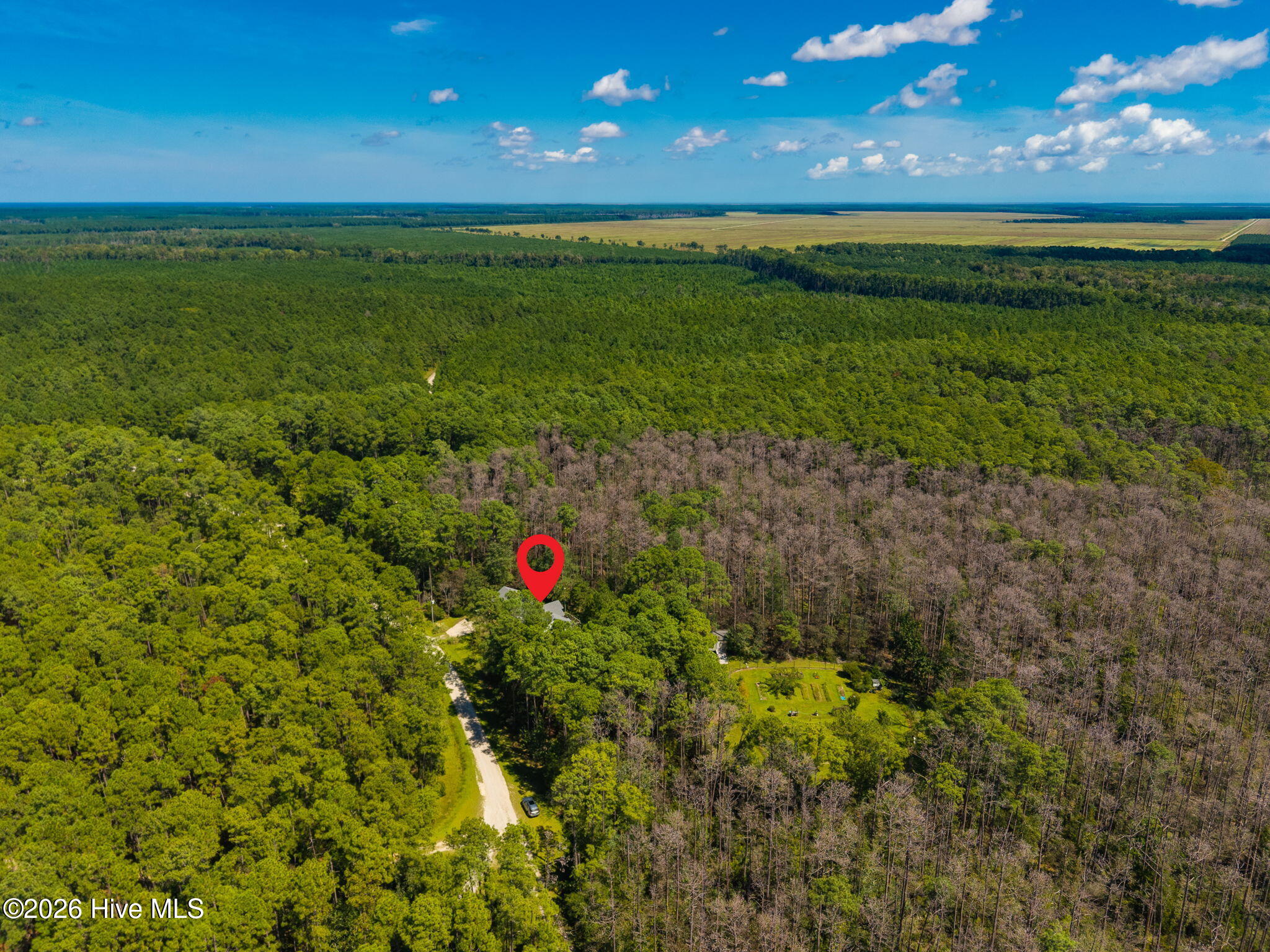 157 Jones Gut Drive Property Photo 49