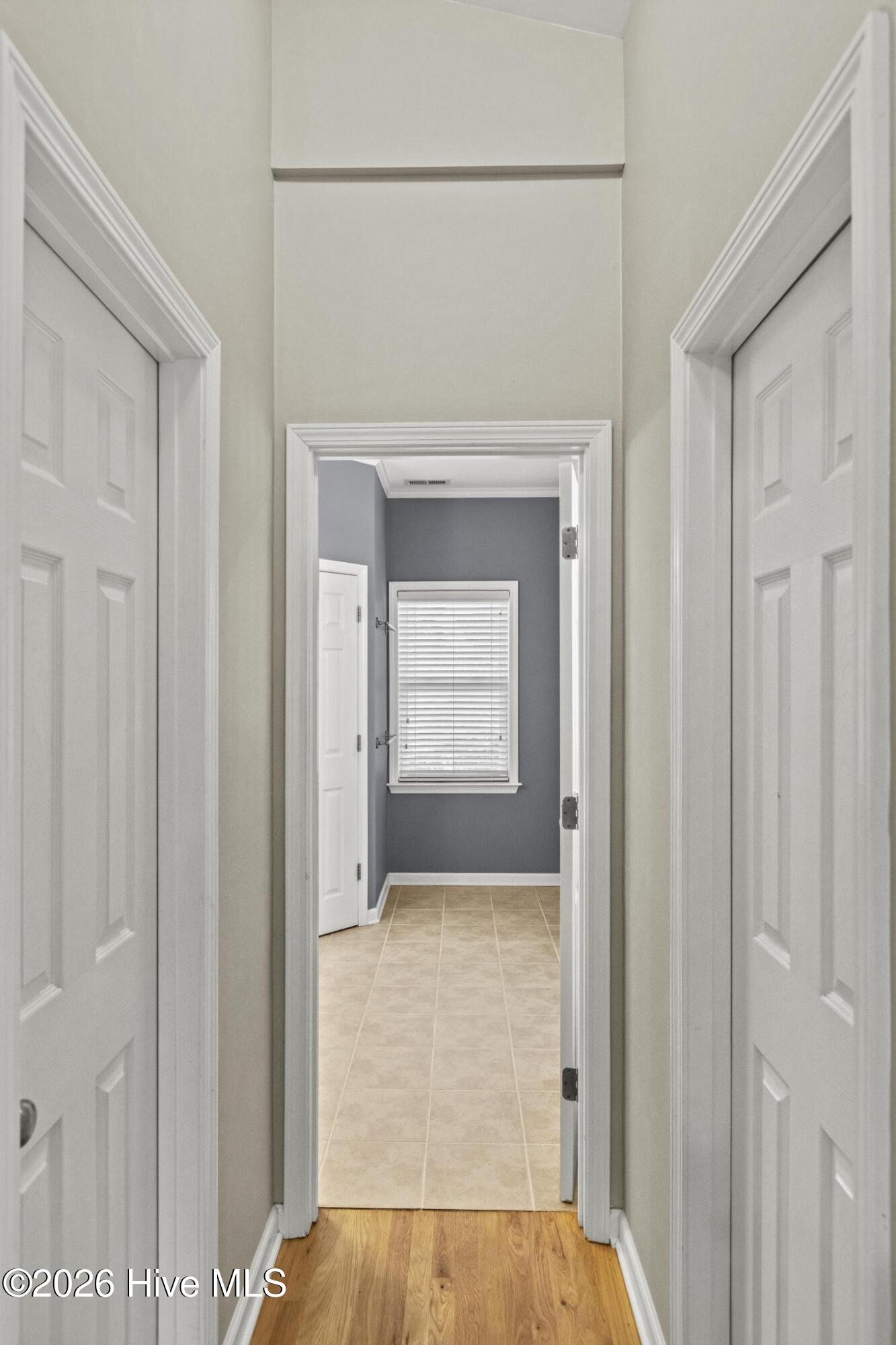 123 Atkinson Road Property Photo 43