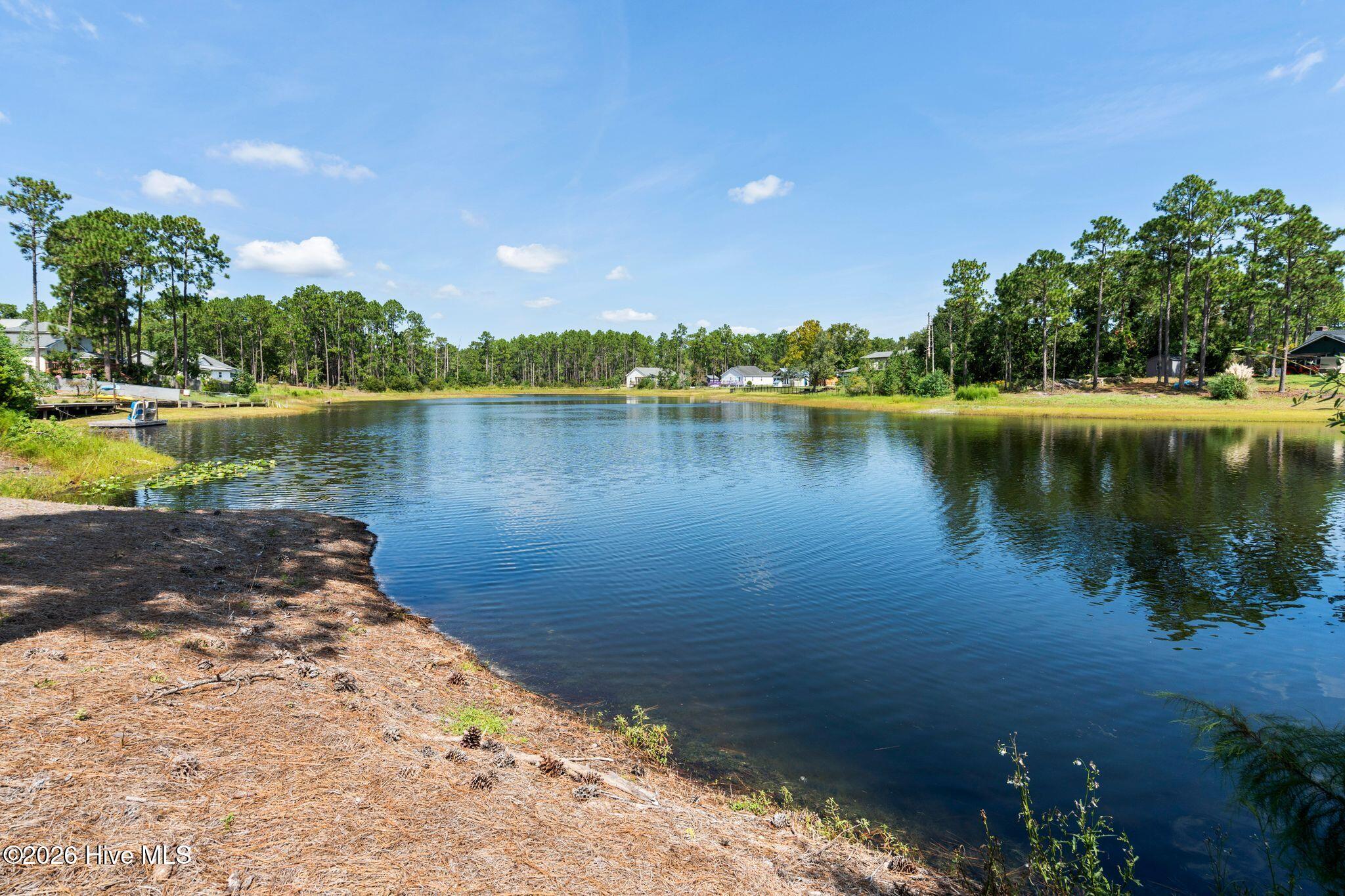 2309 Frink Lake Drive Property Photo 3