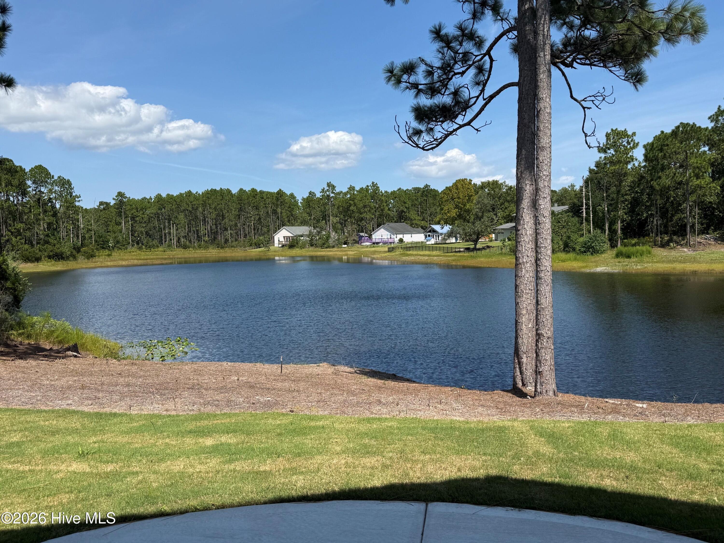 2317 Frink Lake Drive Property Photo 2