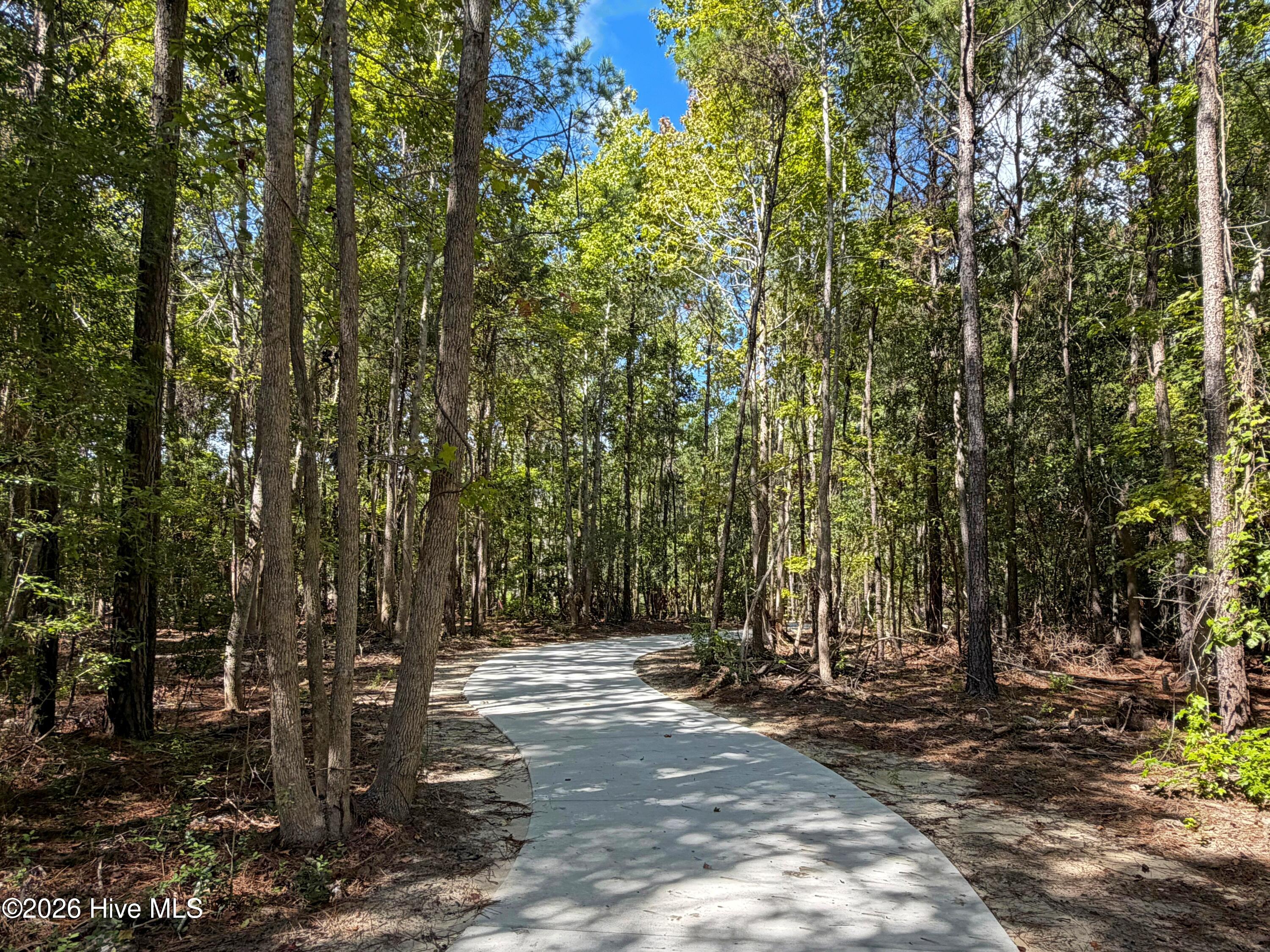 363 Pond Turtle Lane Property Photo 4