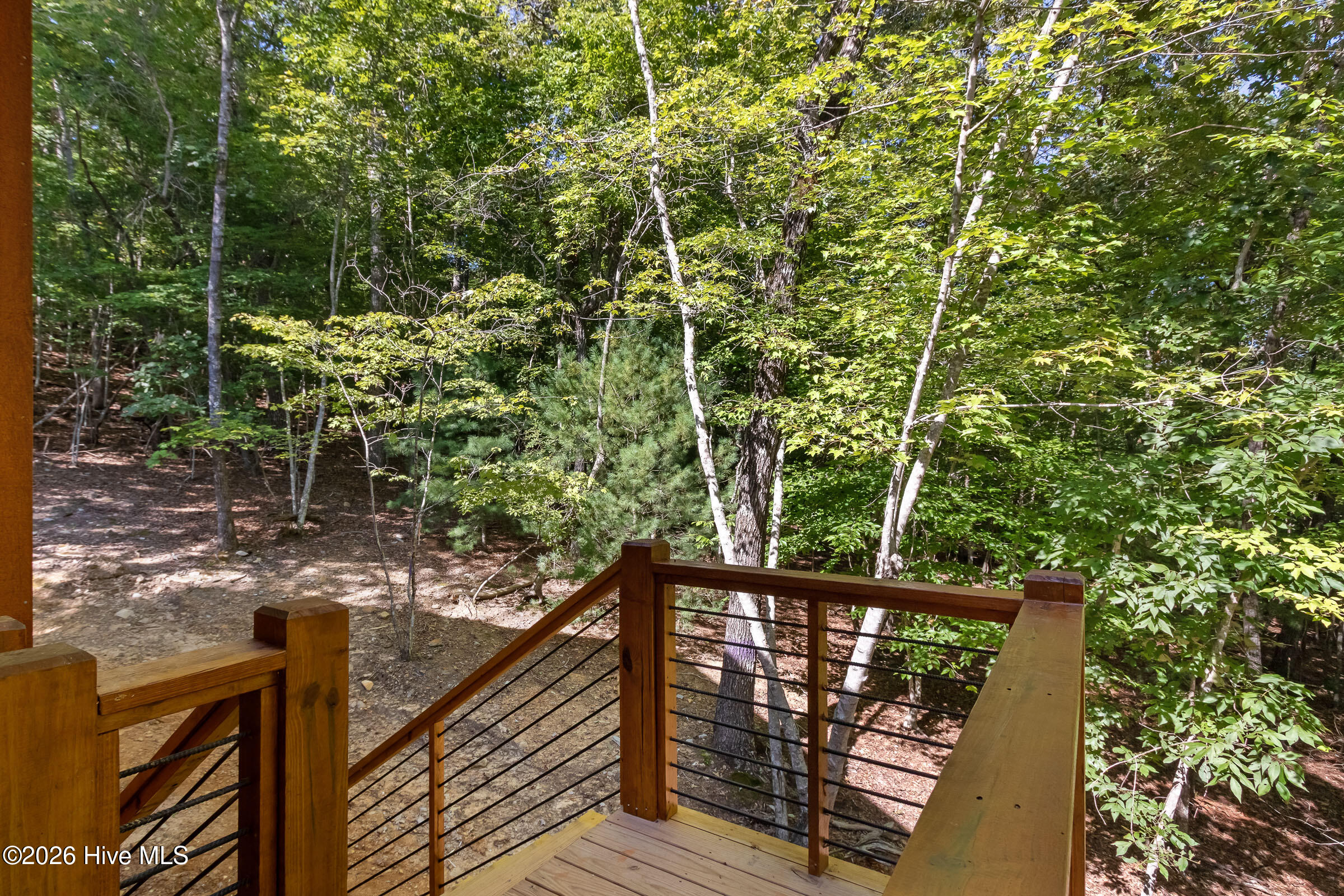 39 Horseshoe Branch Lane Property Photo 17