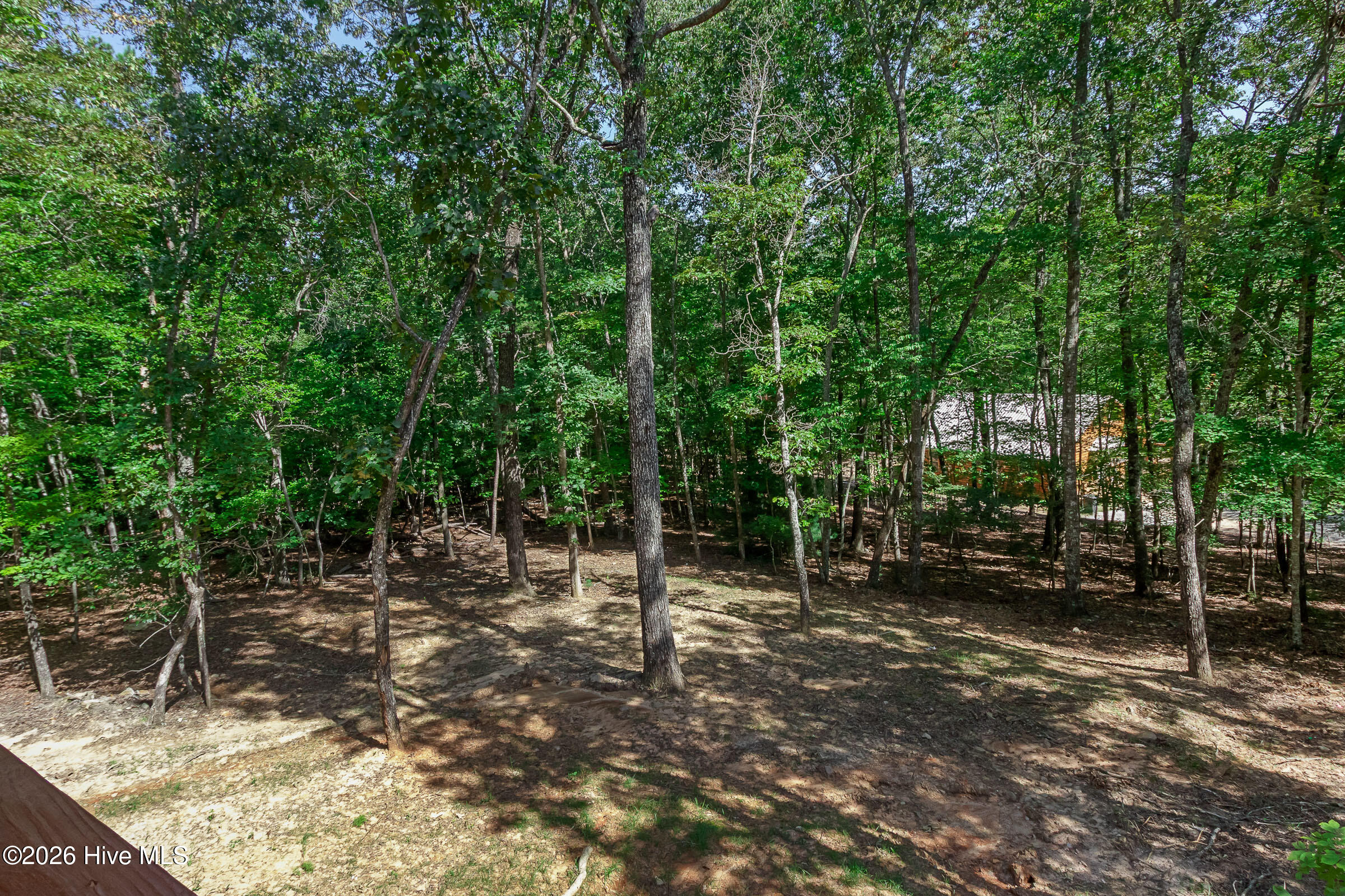 39 Horseshoe Branch Lane Property Photo 31