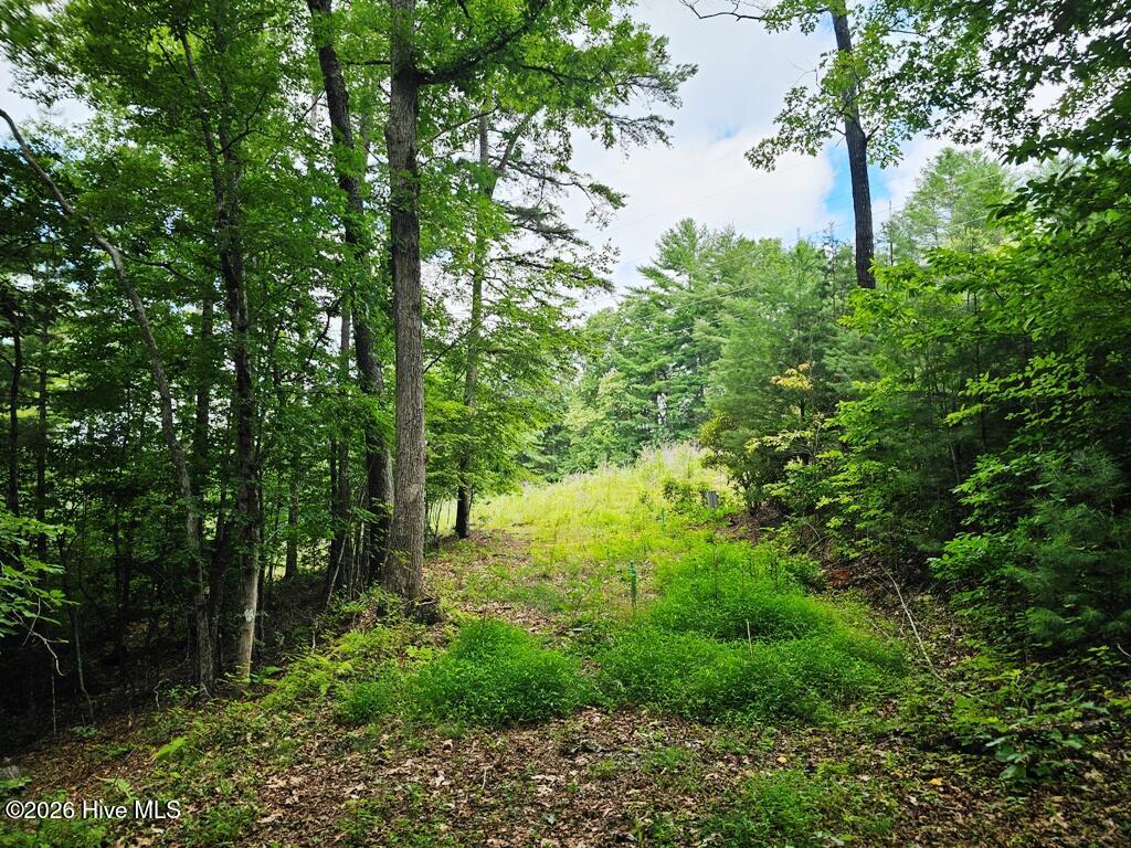 252 Barefoot Lane Property Photo 19