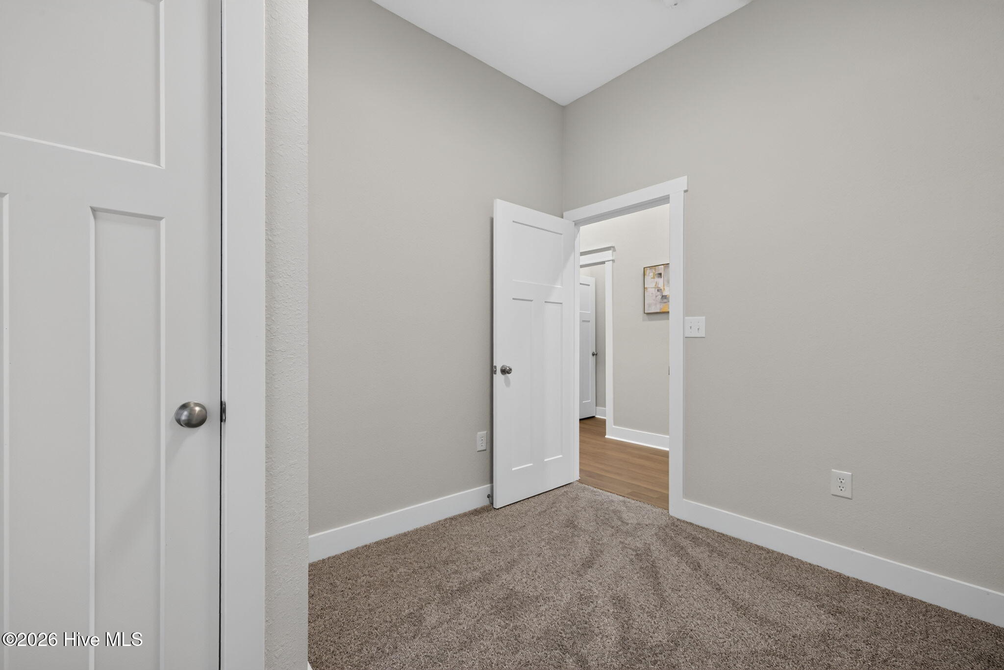 316 S Dyer Street Property Photo 18