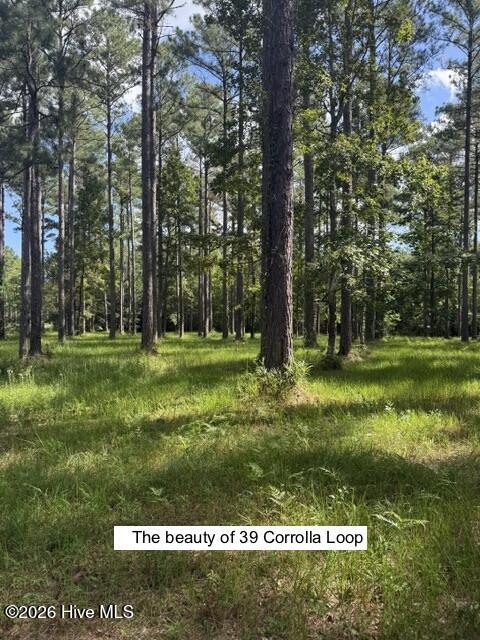 39 69/69a Corrolla Loop Road Property Photo 1