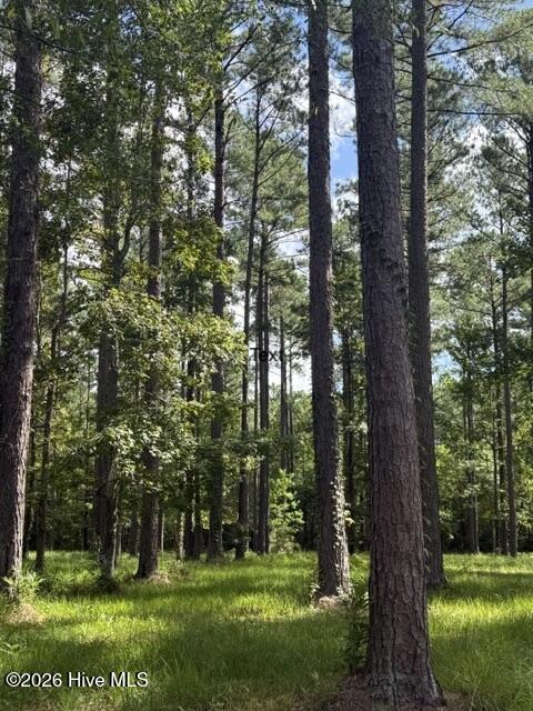 39 69/69a Corrolla Loop Road Property Photo 2