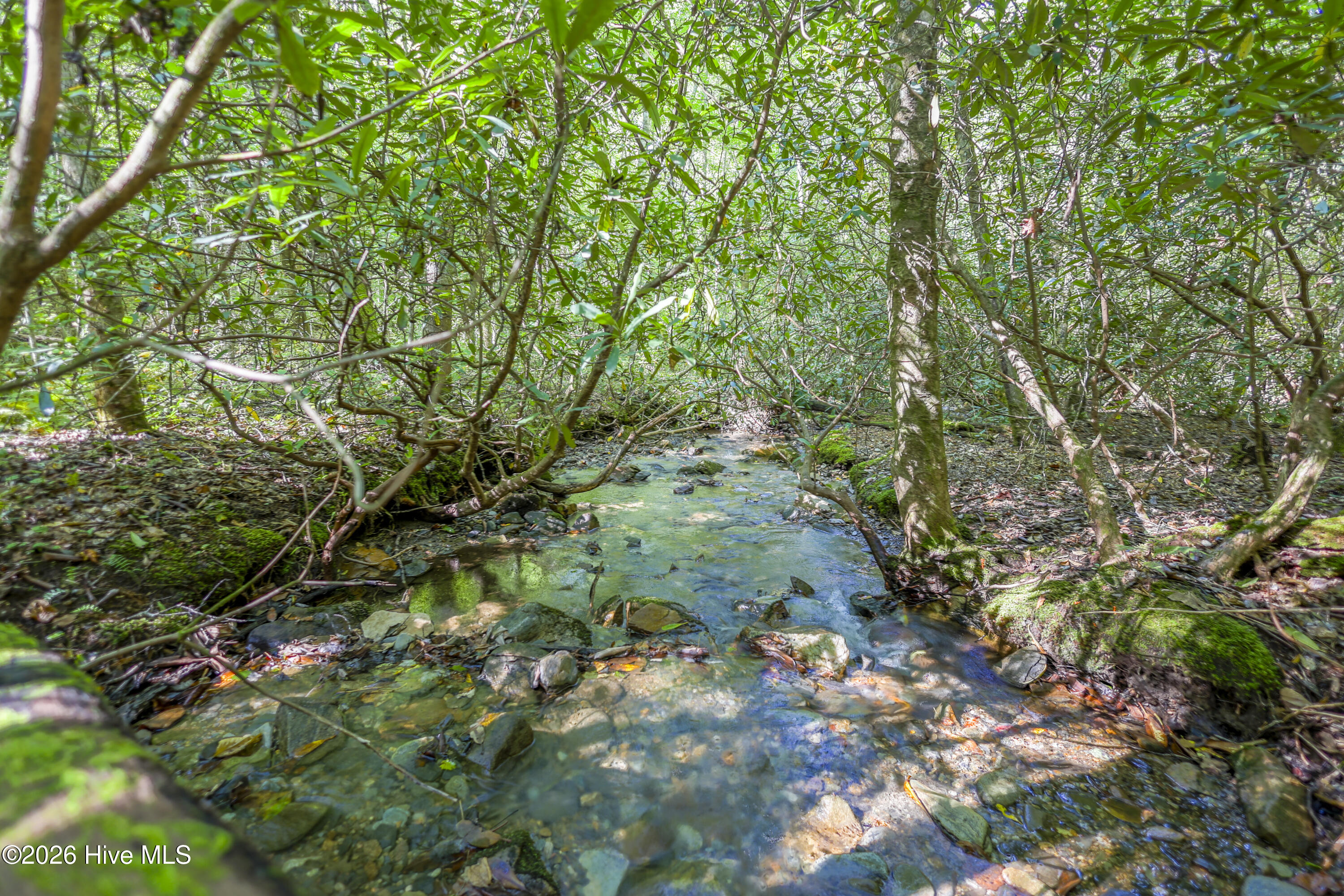90 Ac Tree House Road Property Photo 1