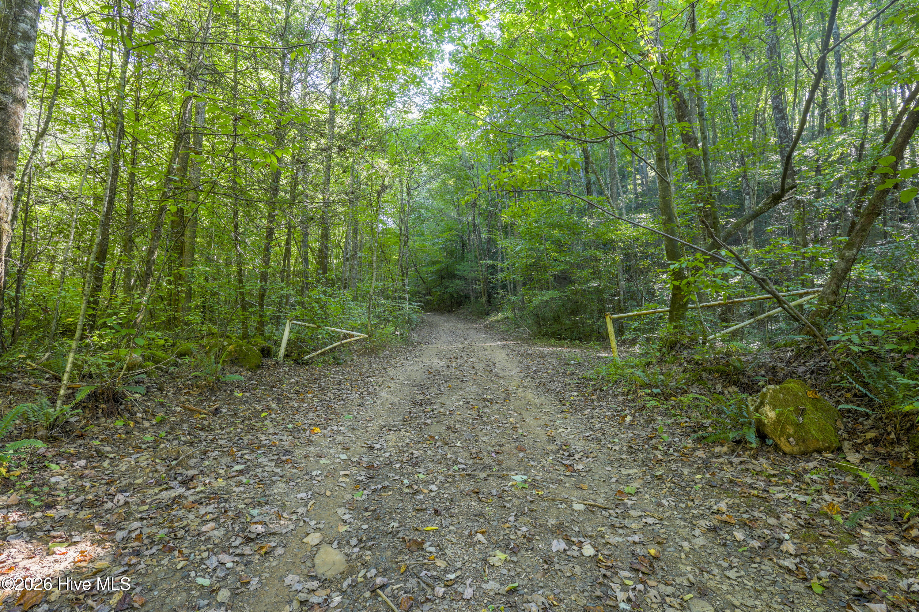 90 Ac Tree House Road Property Photo 2