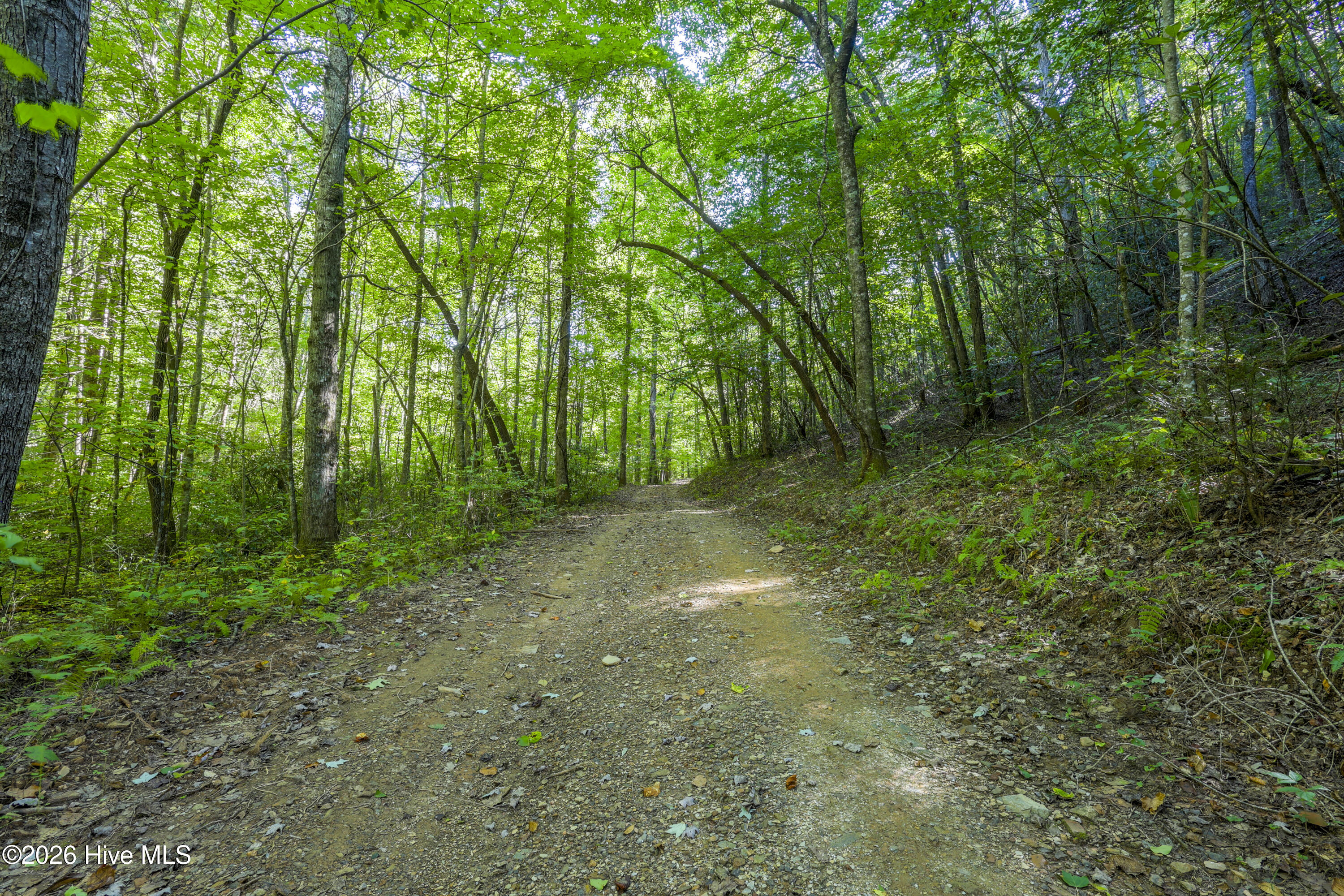 90 Ac Tree House Road Property Photo 4