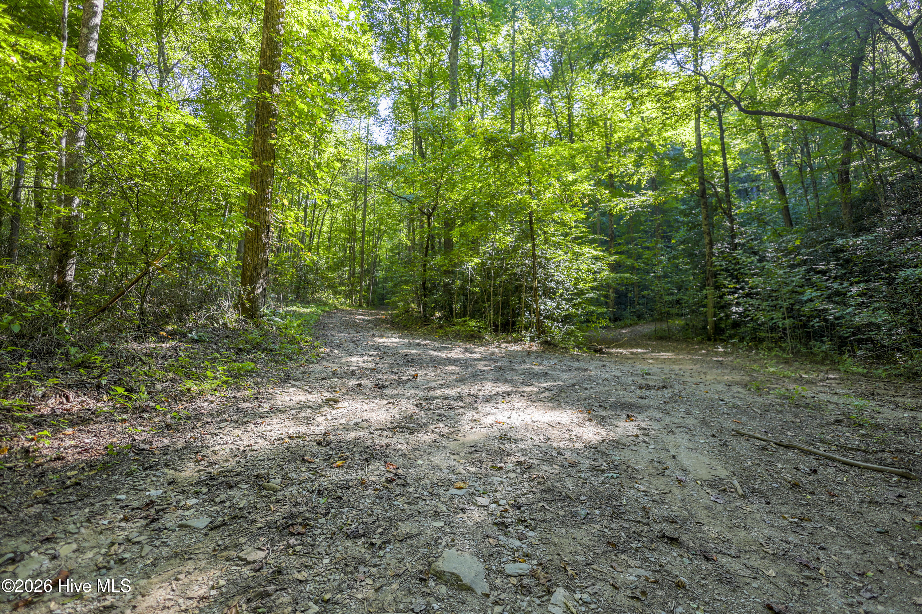 90 Ac Tree House Road Property Photo 6