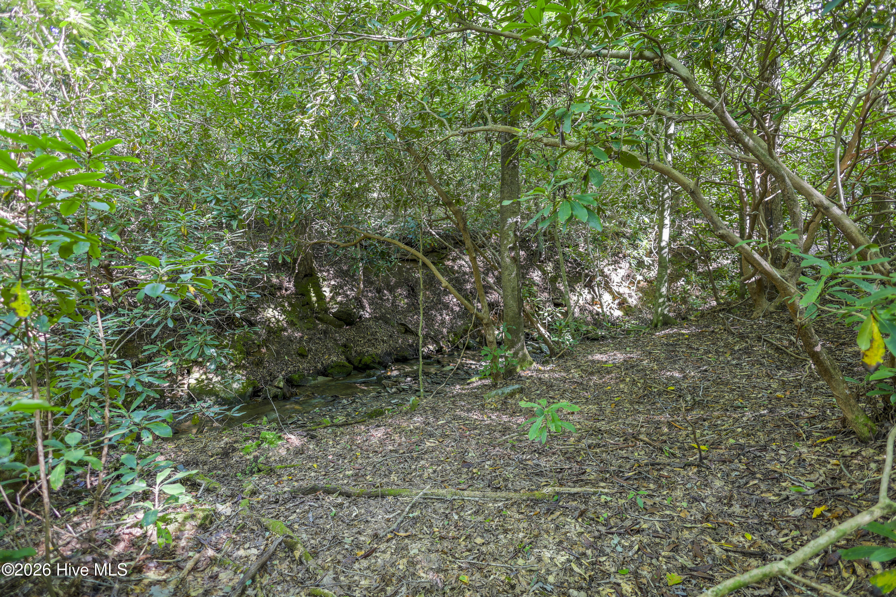 90 Ac Tree House Road Property Photo 8