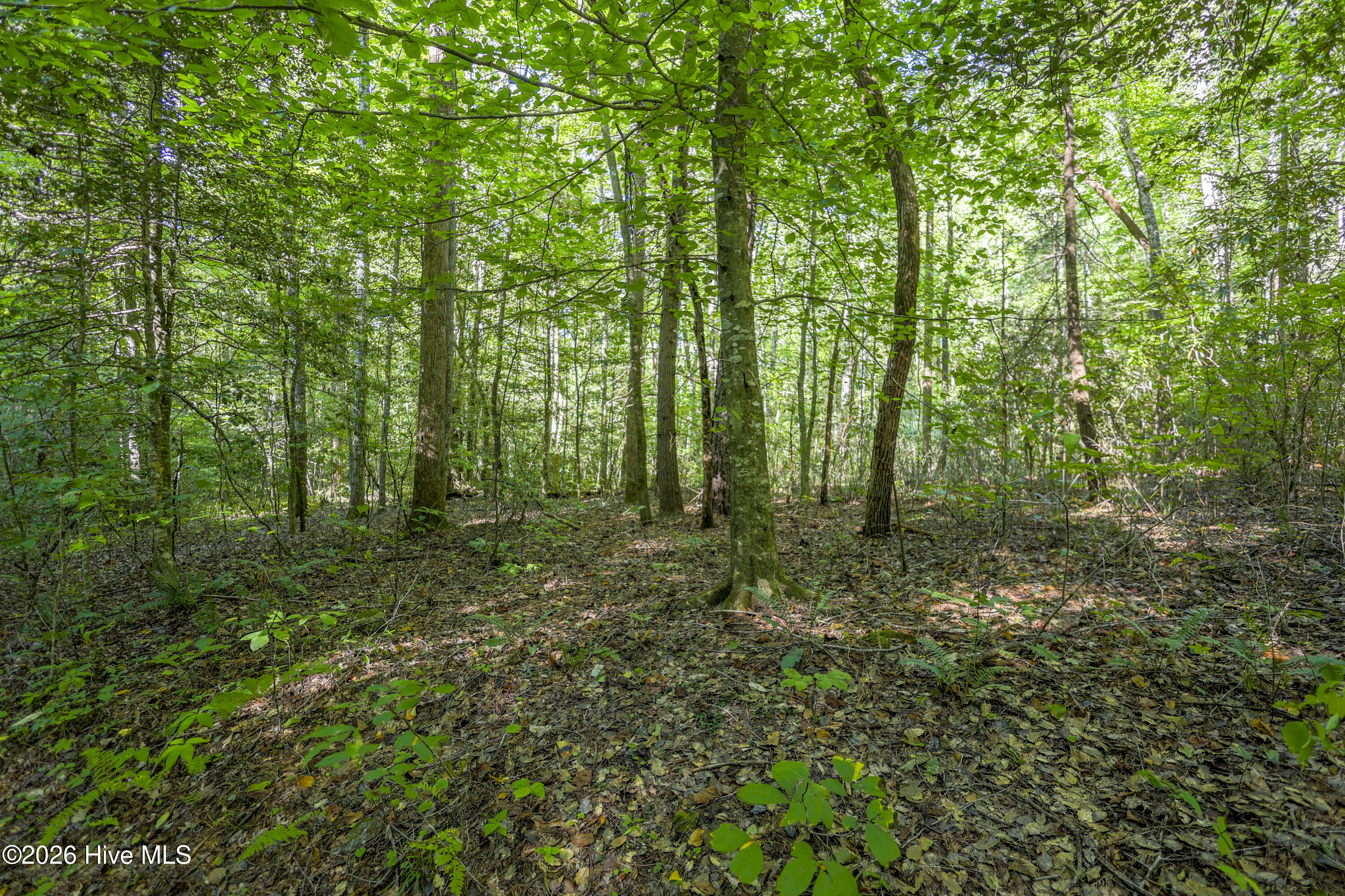90 Ac Tree House Road Property Photo 11
