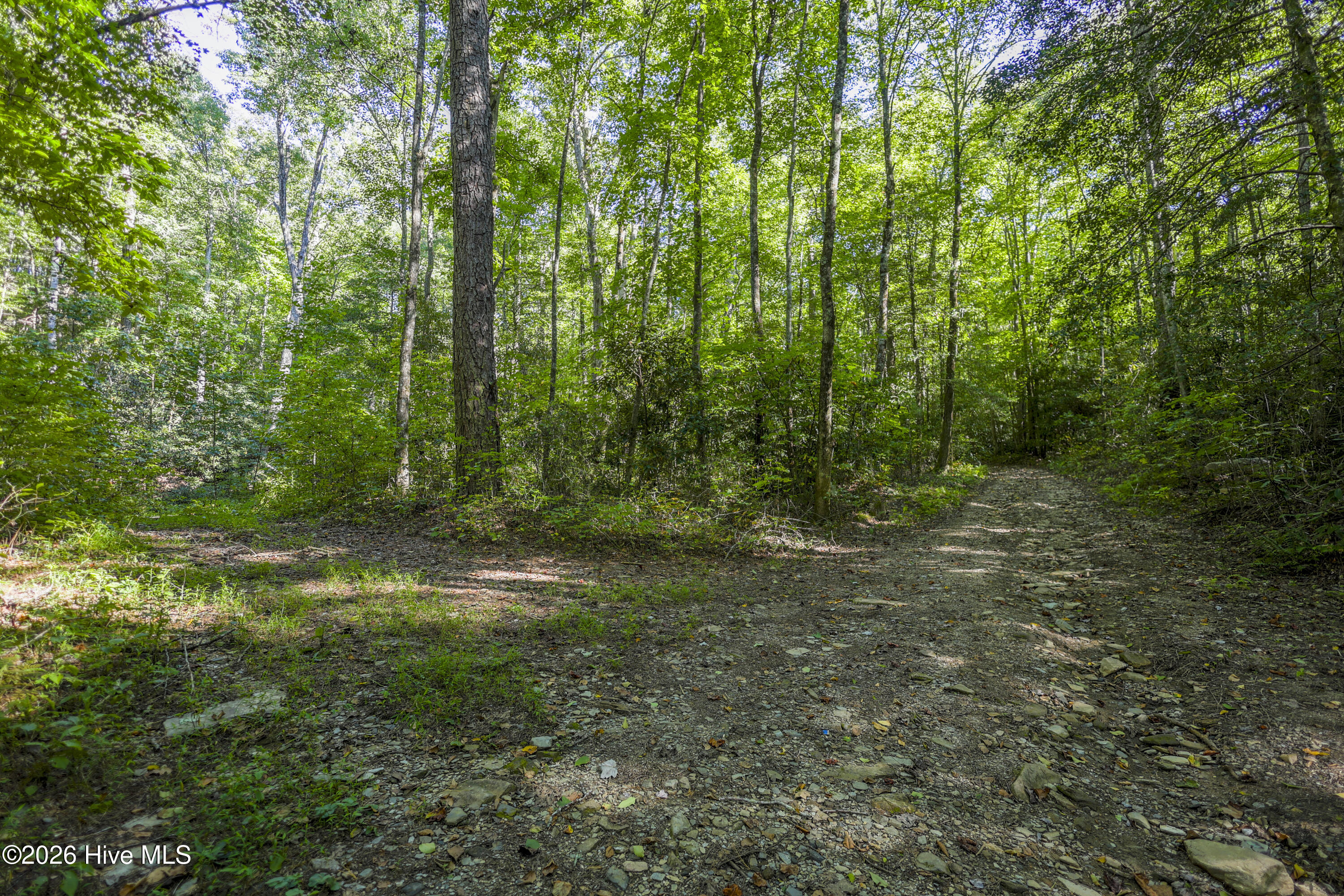 90 Ac Tree House Road Property Photo 12