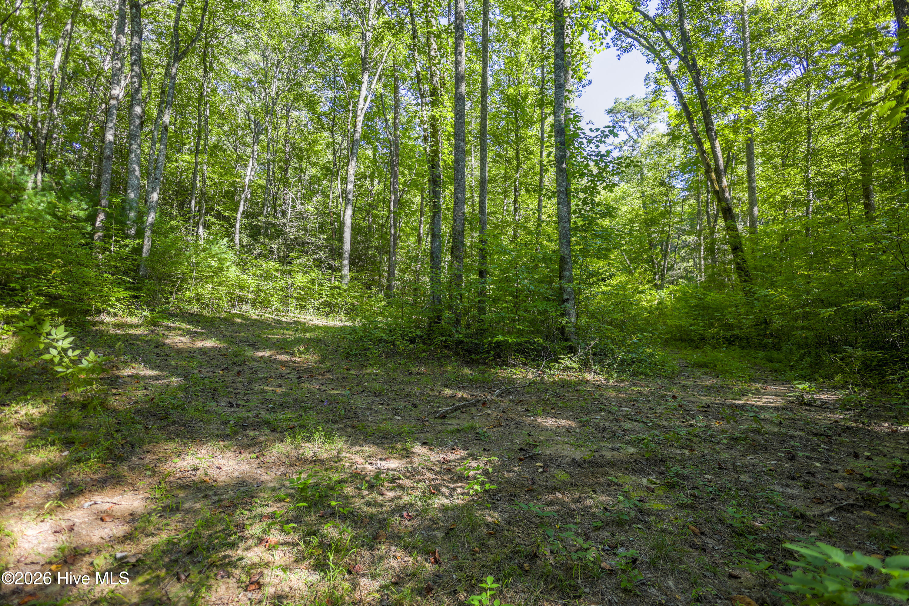 90 Ac Tree House Road Property Photo 14