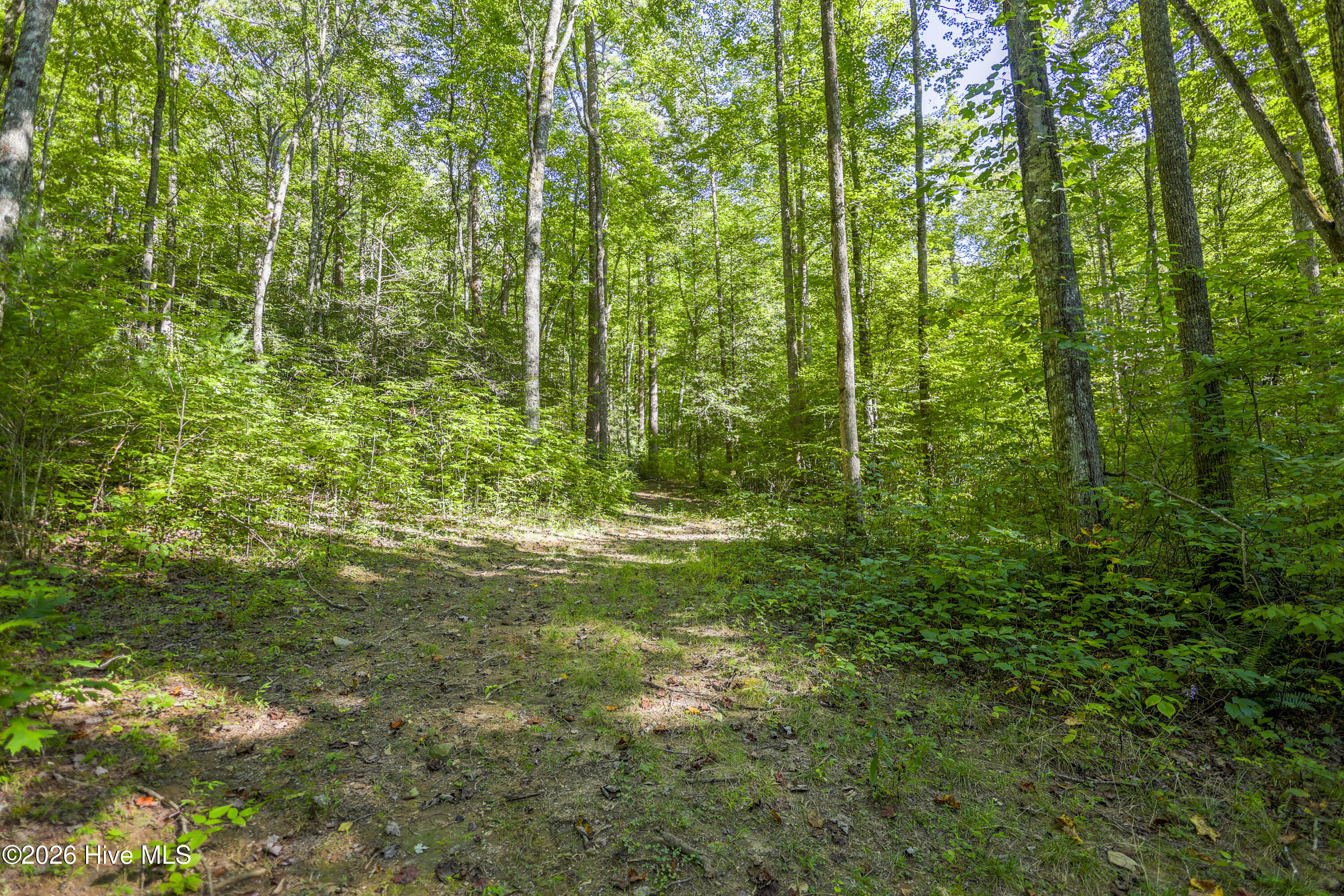 90 Ac Tree House Road Property Photo 15
