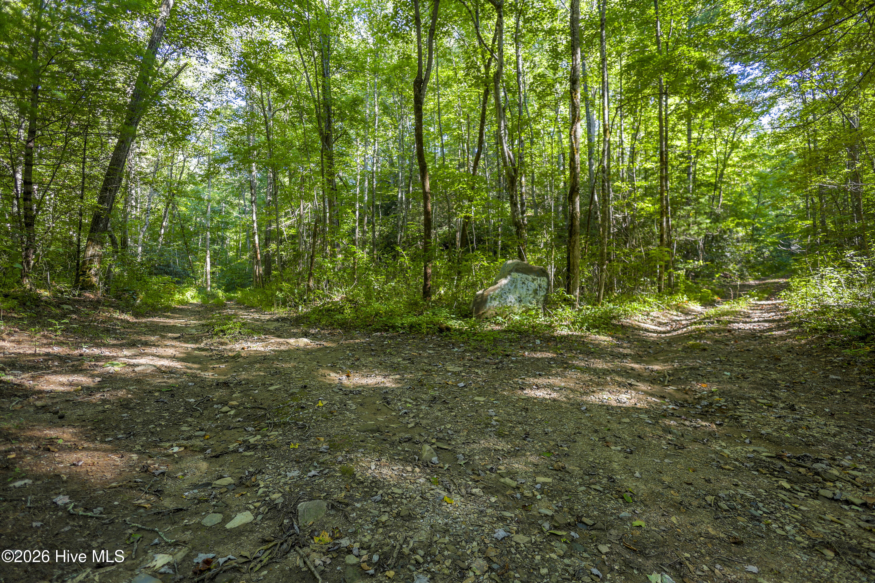 90 Ac Tree House Road Property Photo 16