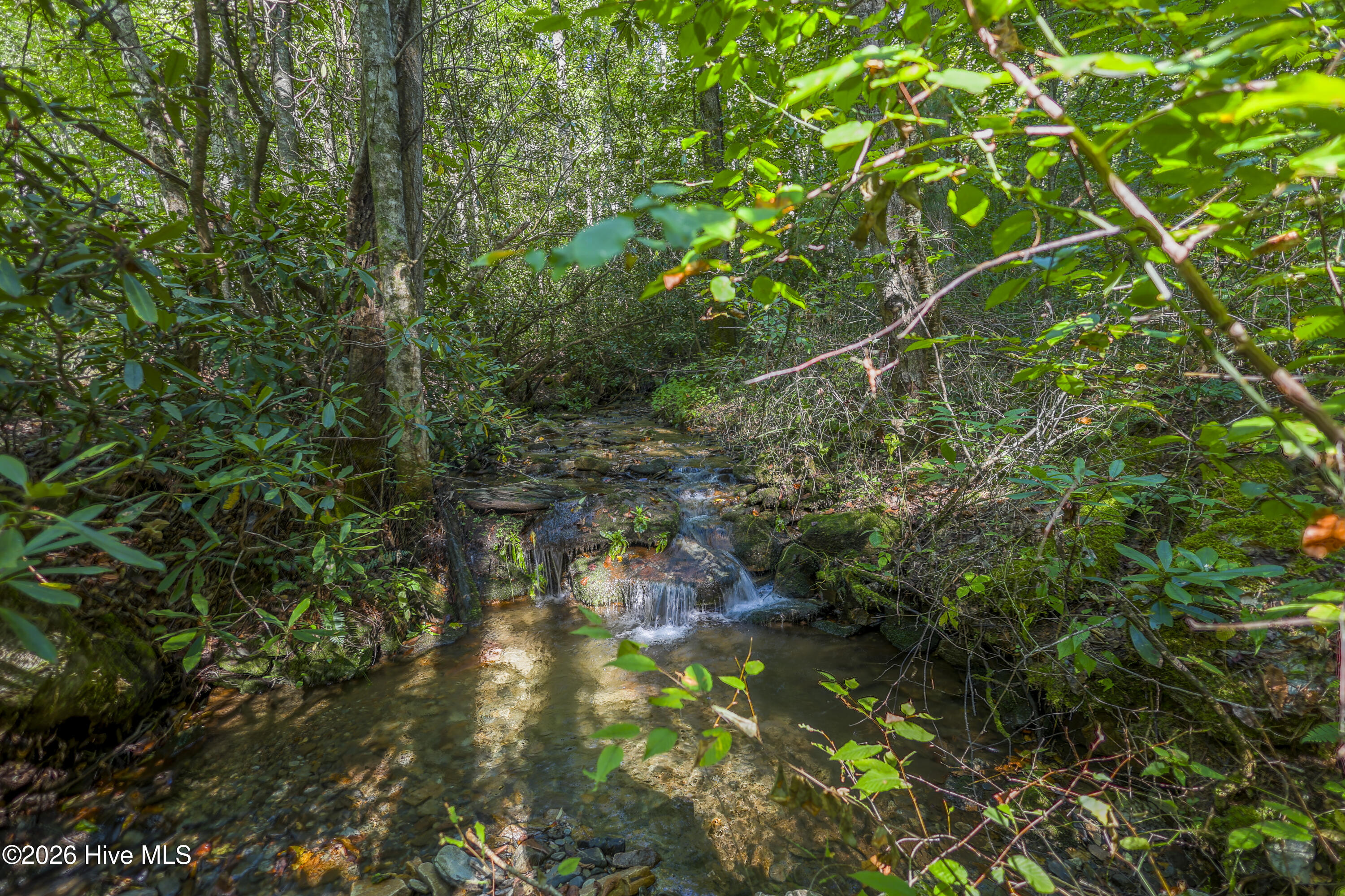 90 Ac Tree House Road Property Photo 17