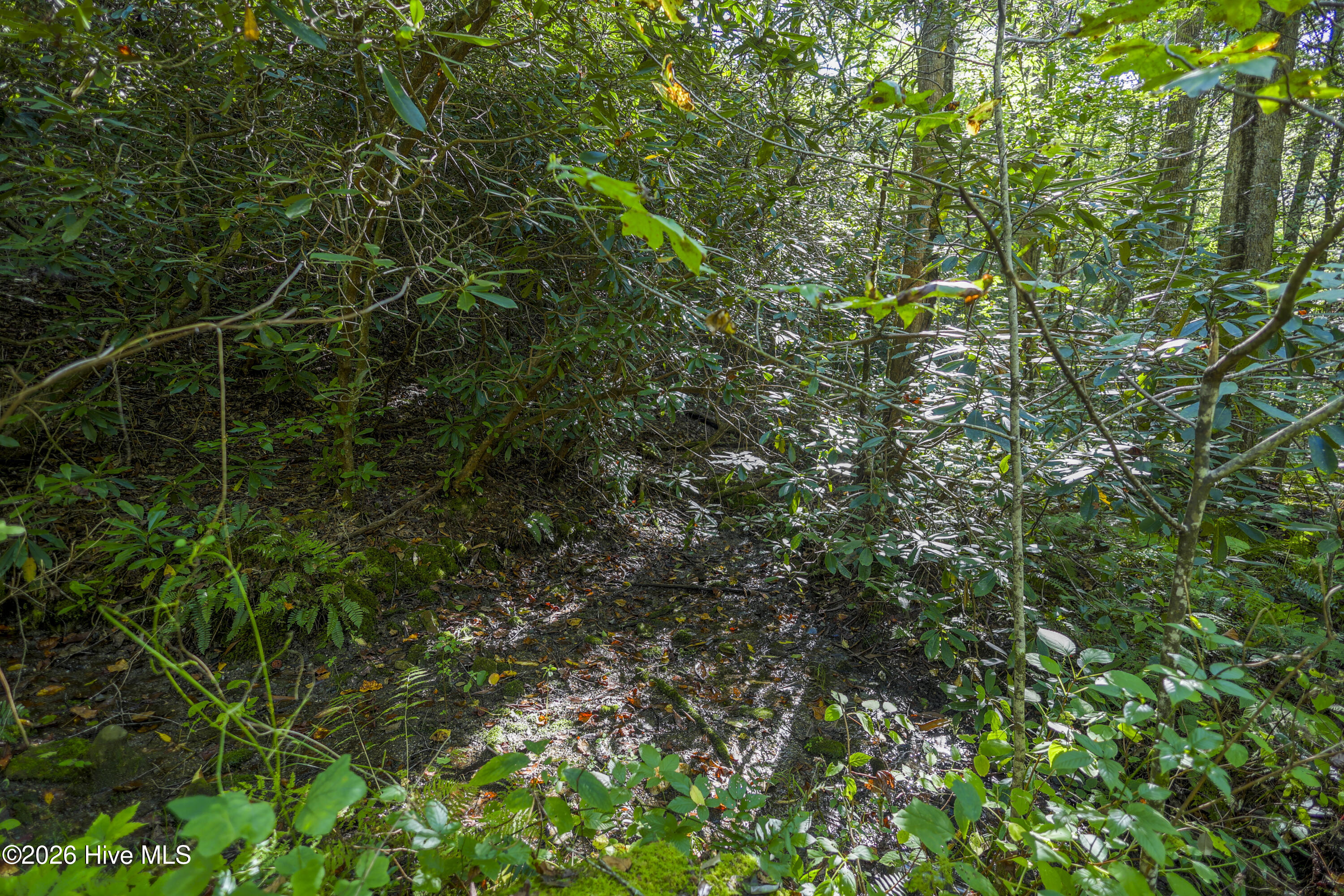 90 Ac Tree House Road Property Photo 18